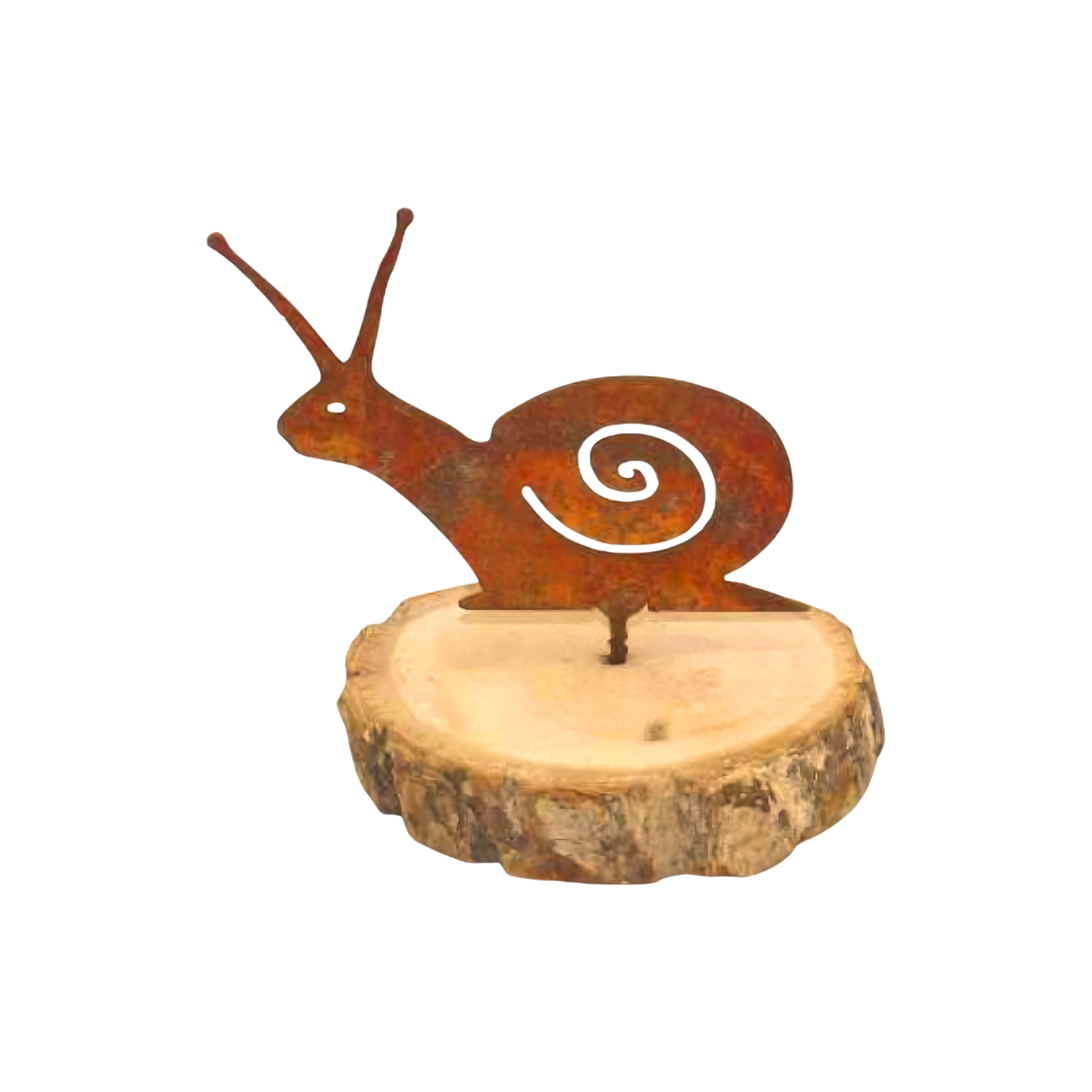 Darstellung von Schnecke mini mit Dorn