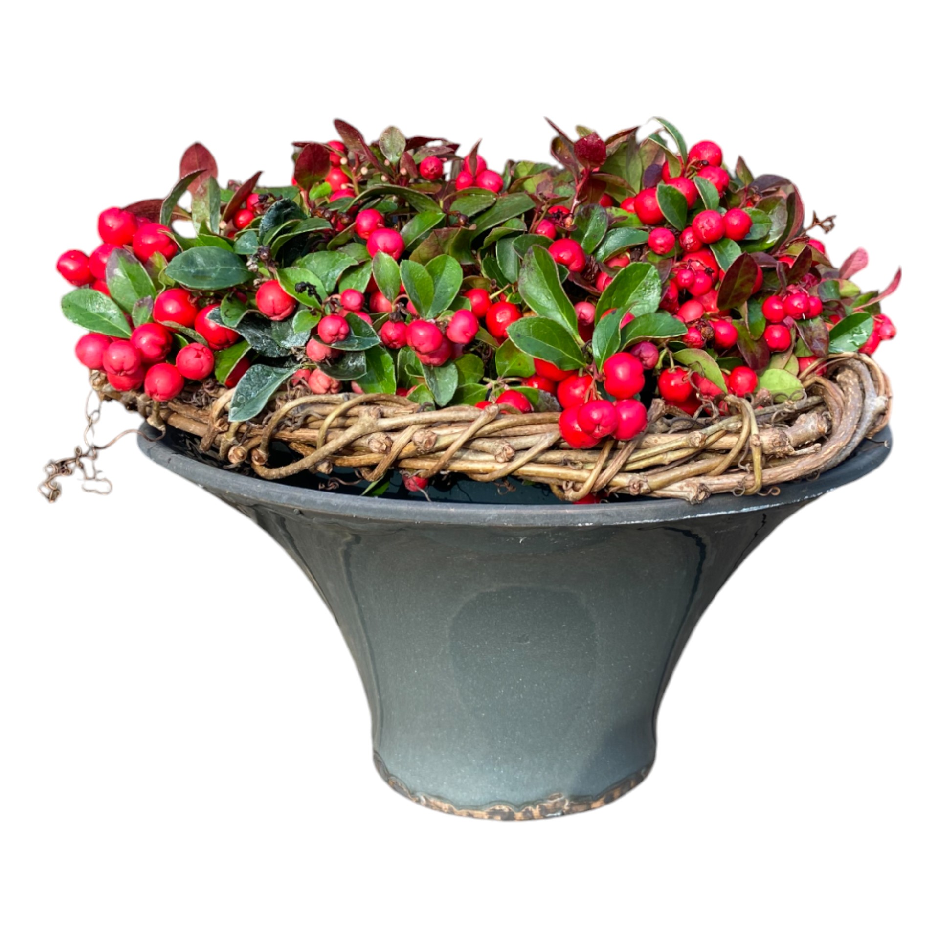 Darstellung von RP Schale DUNKELGRAU 32x16 cm