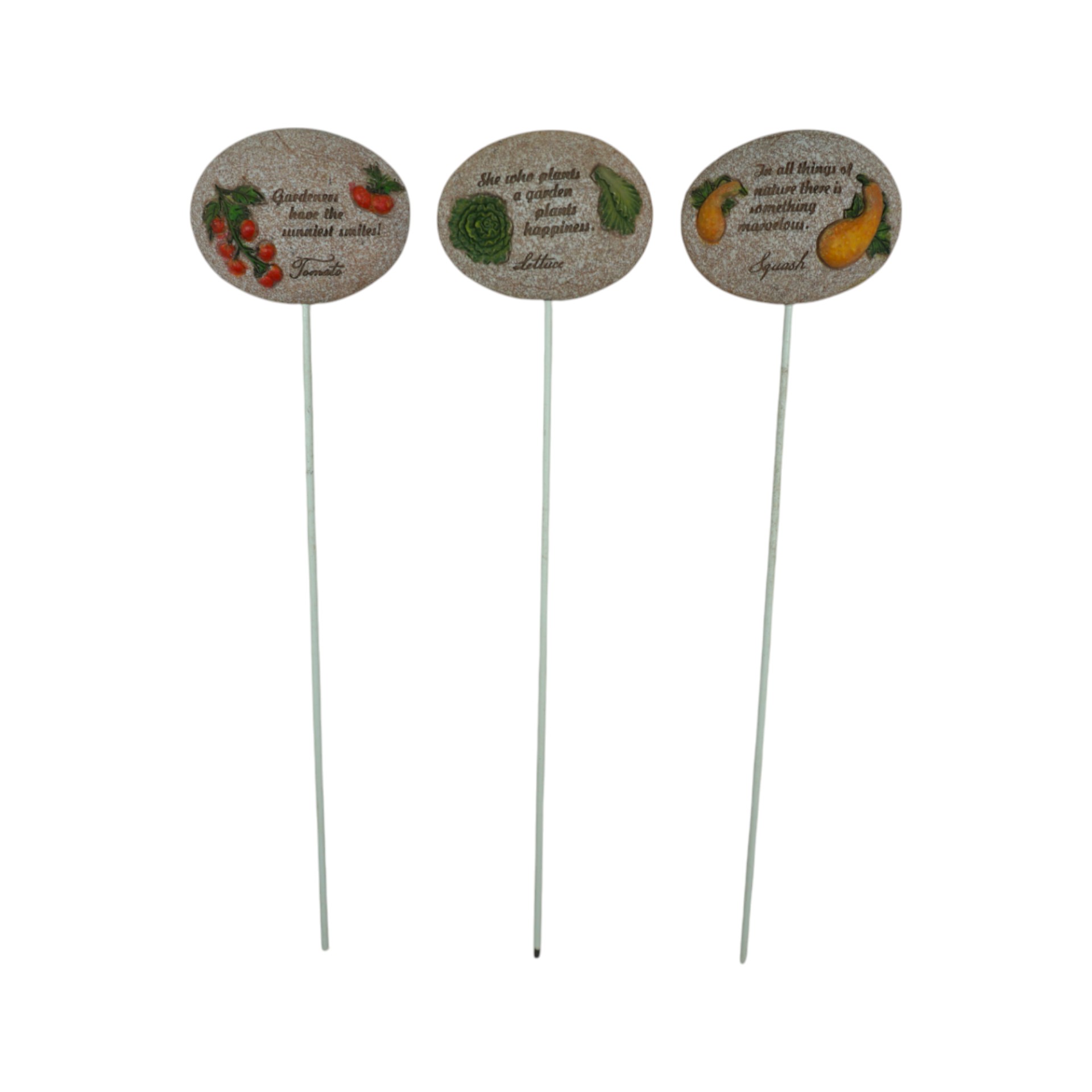 RP Ministecker Poly Gemüse sort Darstellung von RP Ministecker Poly Gemüse sort