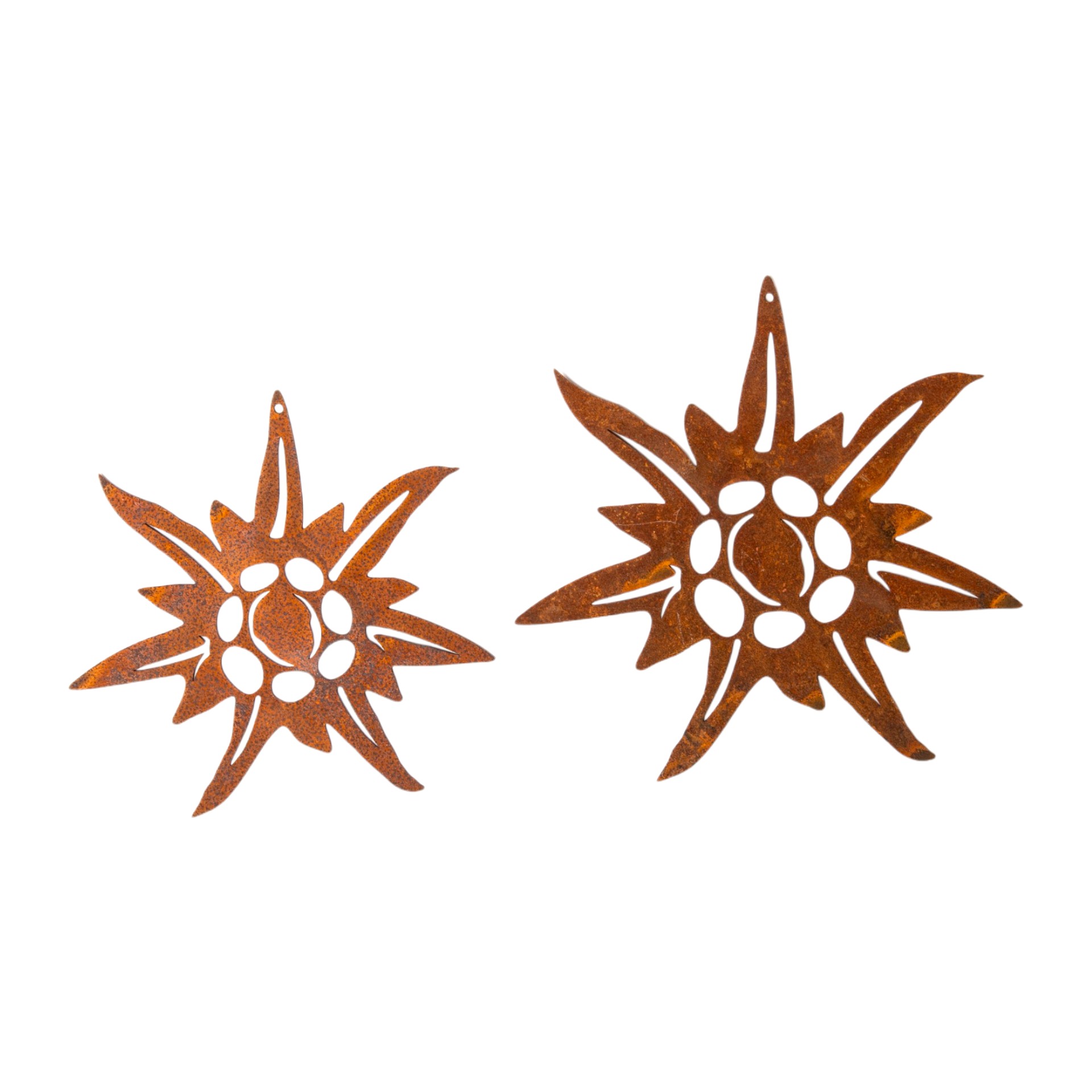 Darstellung von Edelweiss mi. zum Hängen, d= 18 cm