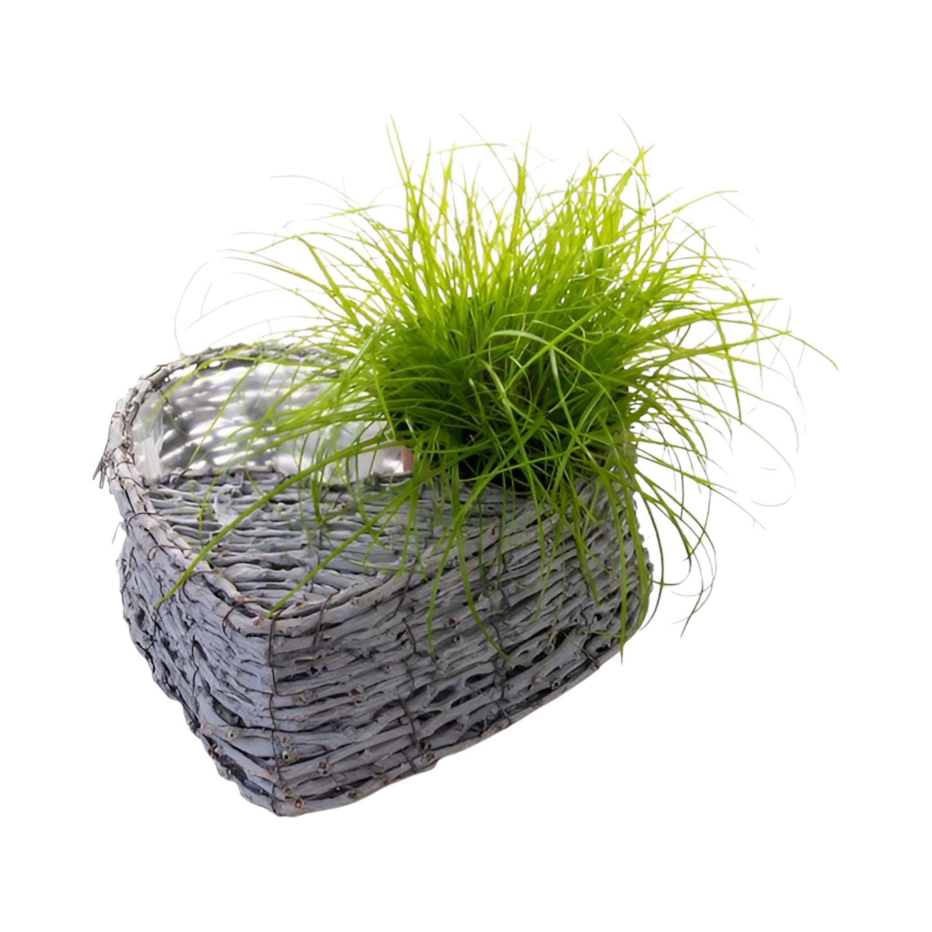 RP Pflanzkorb Herz mit Dach Darstellung von RP Pflanzkorb Herz mit Dach