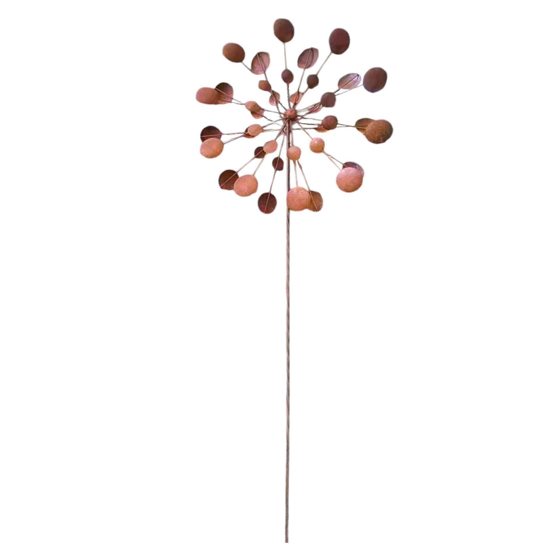 Scheibenpropeller gross 240 cm Darstellung von Scheibenpropeller gross 240 cm