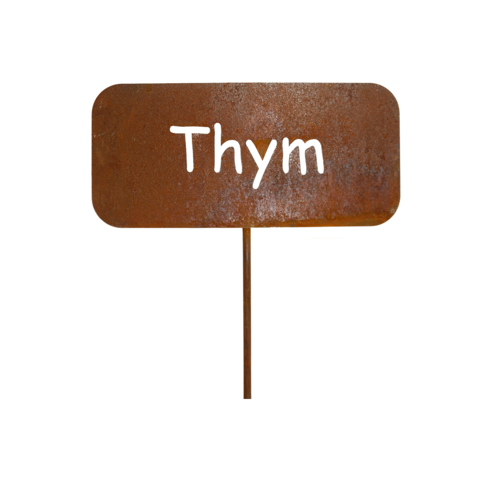 Darstellung von Gewürzstecker eckig auf Stab Thym