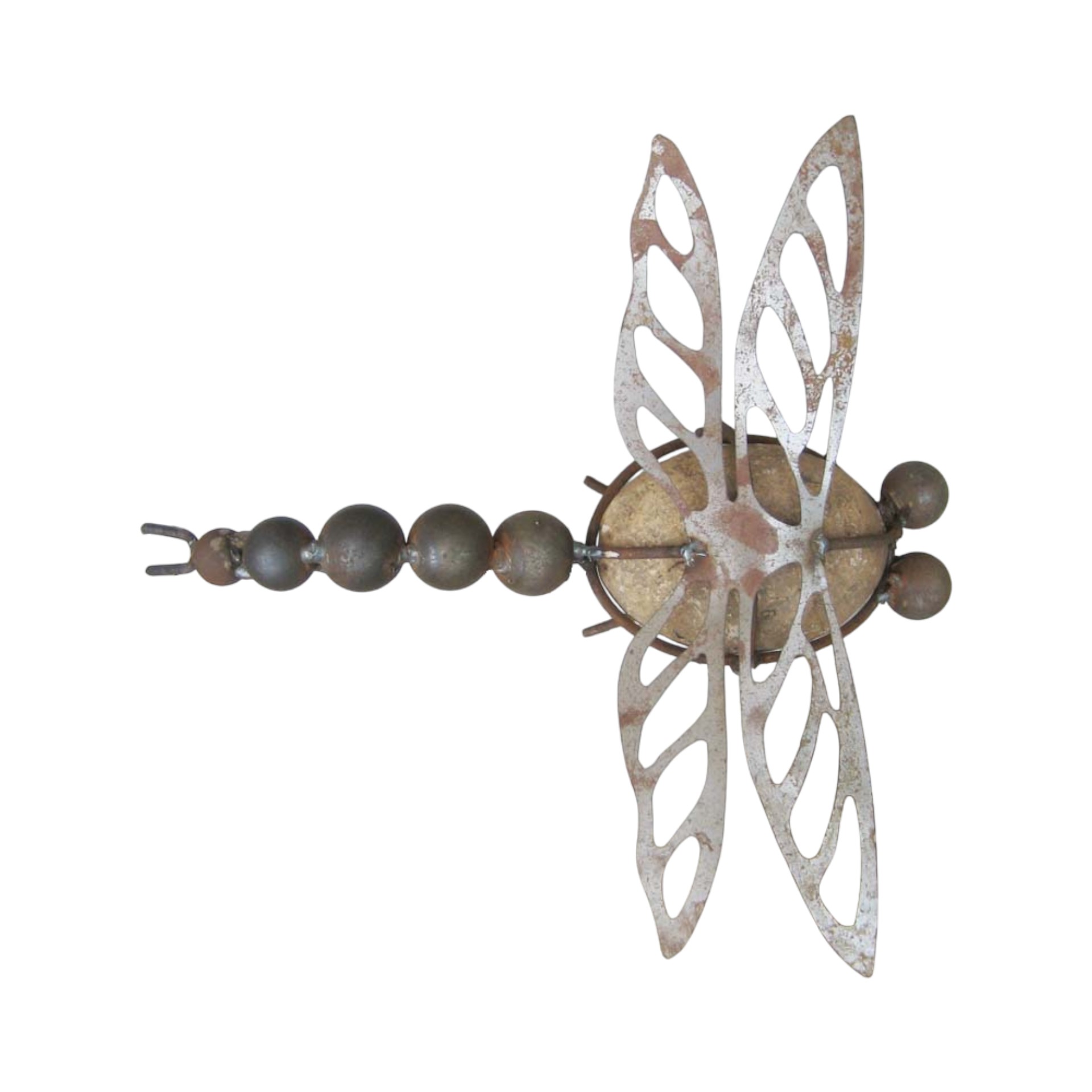 Darstellung von Steinlibelle z. Stellen