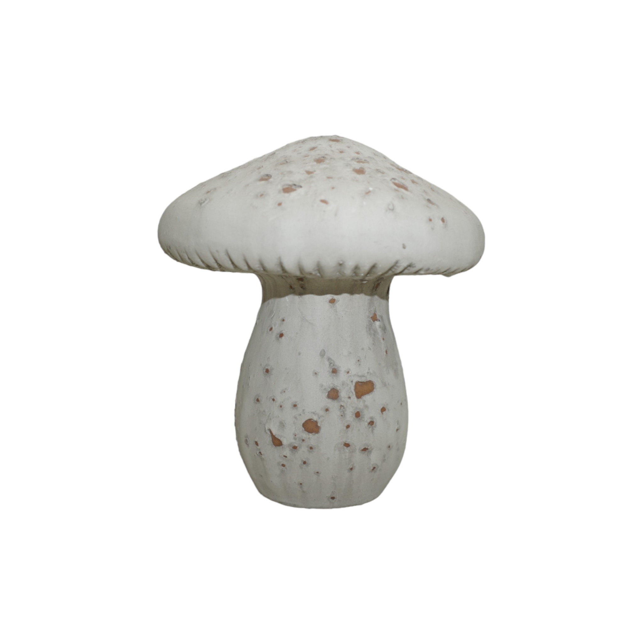Darstellung von Steinpilz gross