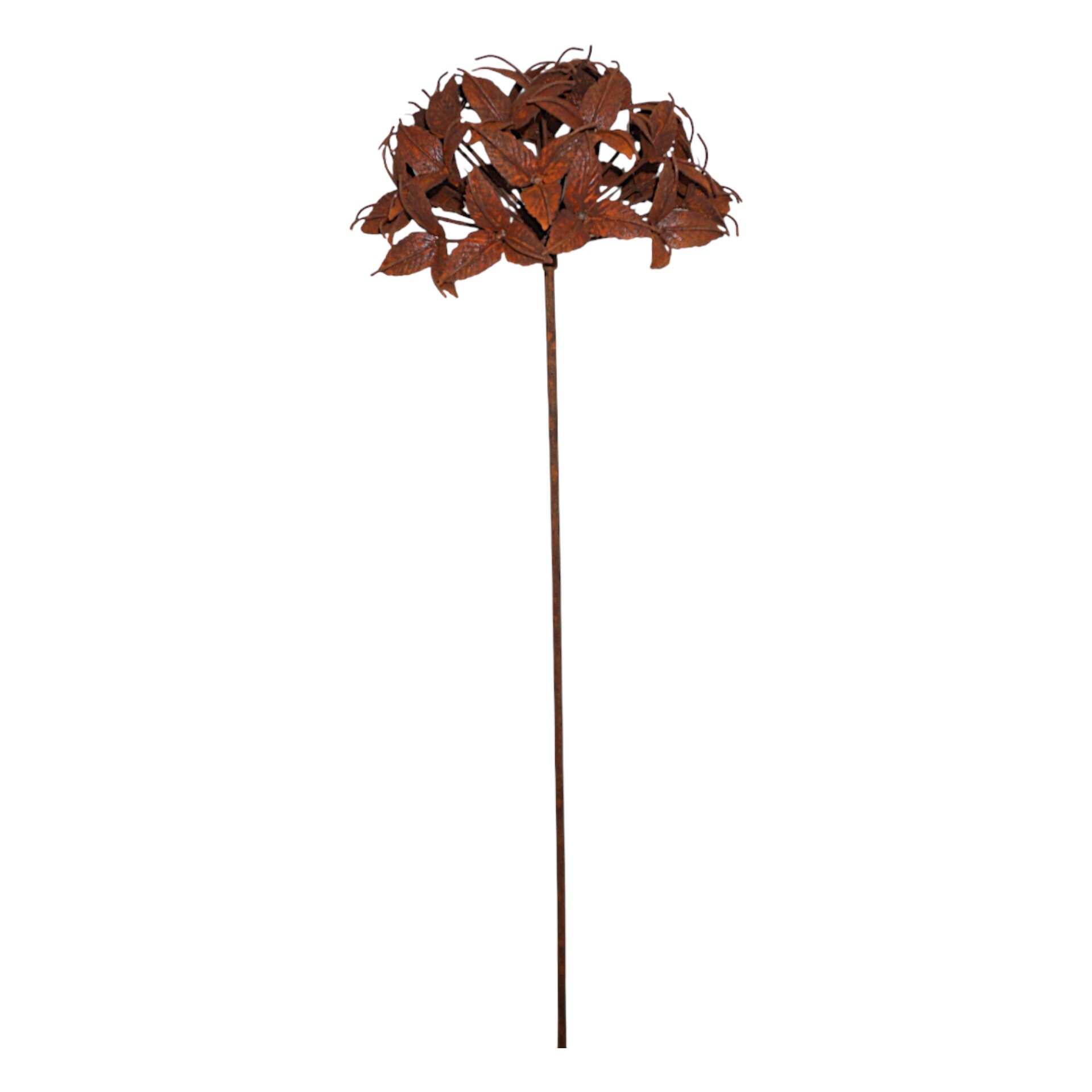 Darstellung von Blume Tiger Lily rost a. Stab