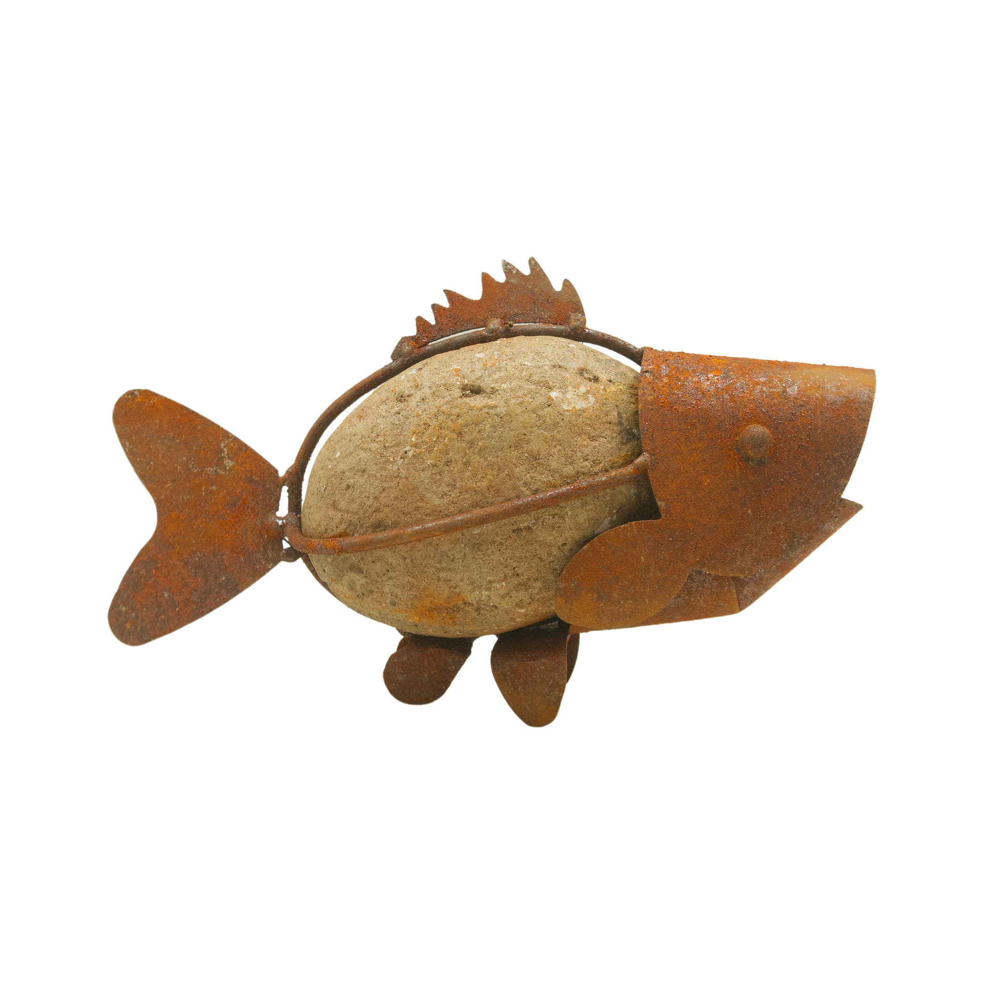 Darstellung von Steinfisch z. Stellen