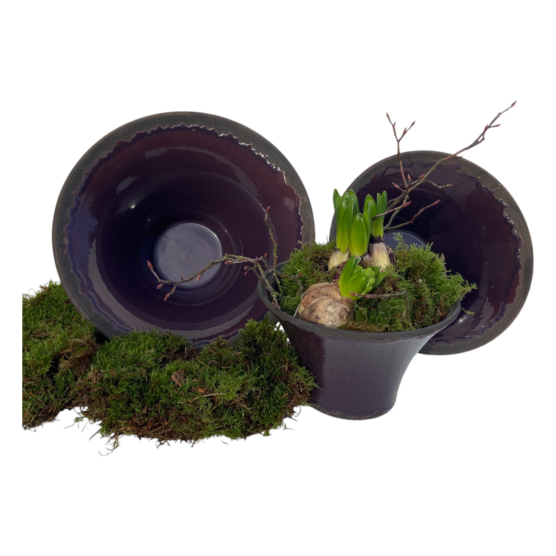 Darstellung von RP Schale AUBERGINE 27x14 cm