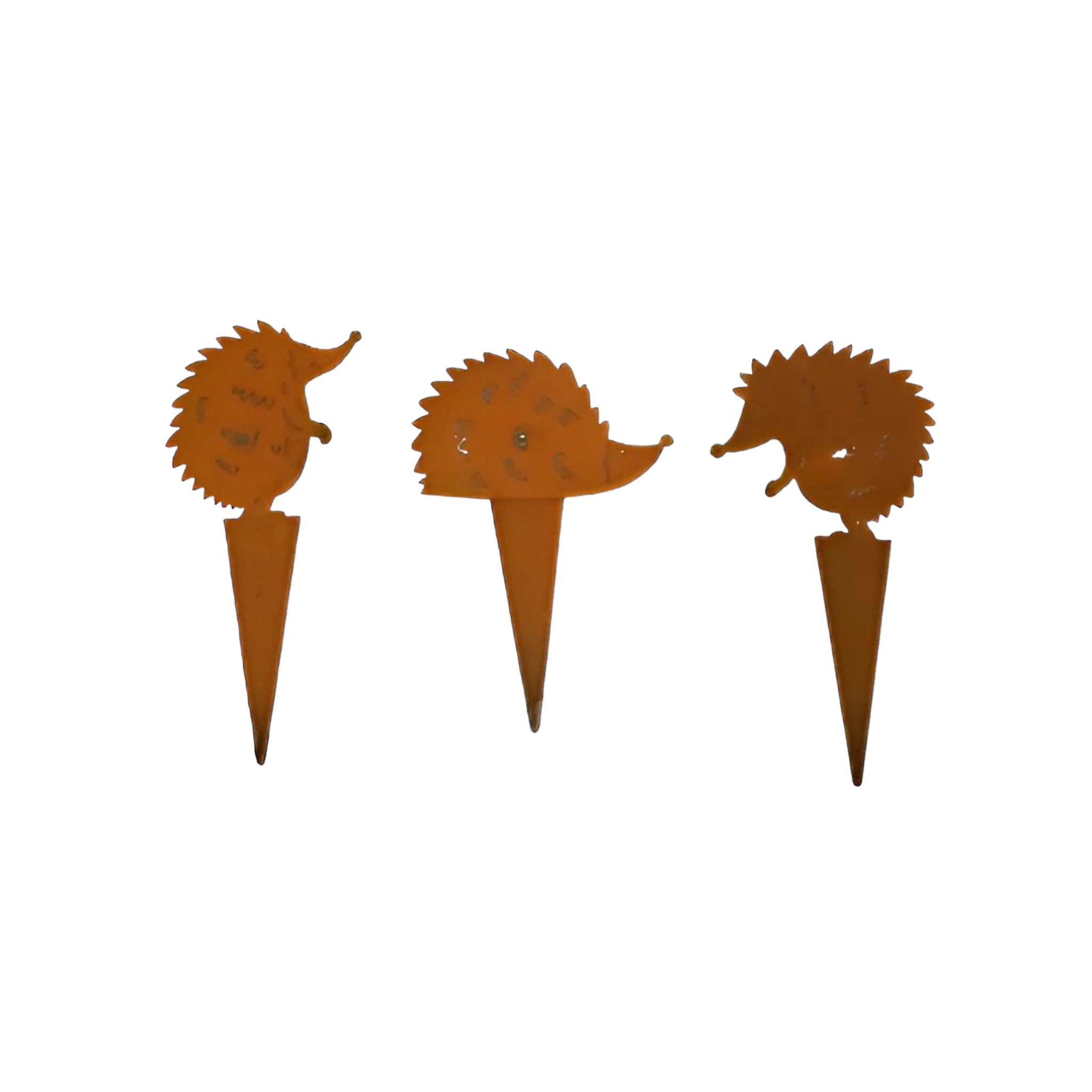 Igelpins sortiert Darstellung von Igelpins sortiert