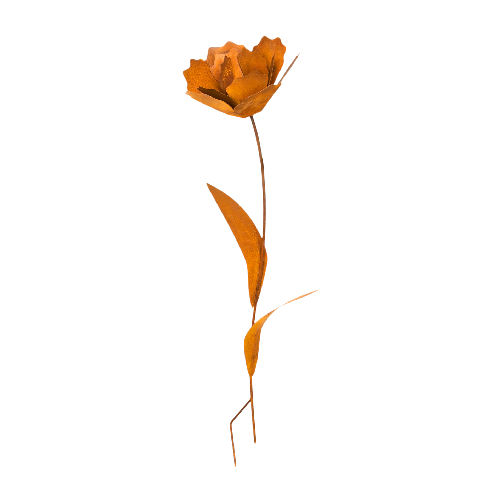 Darstellung von Rose gross zum Stecken, 32x130 cm
