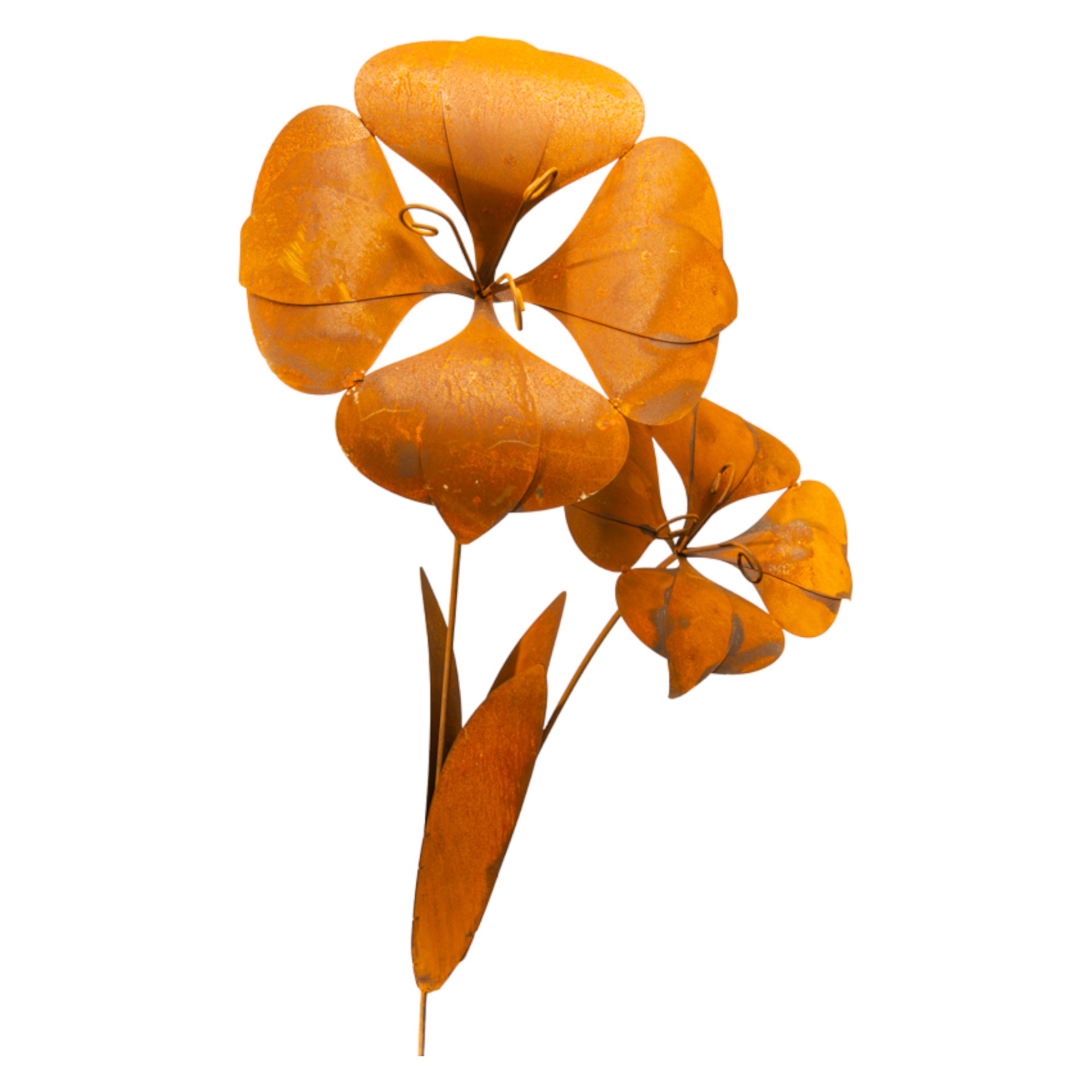 Darstellung von Malvenblume doppelt zum Stecken