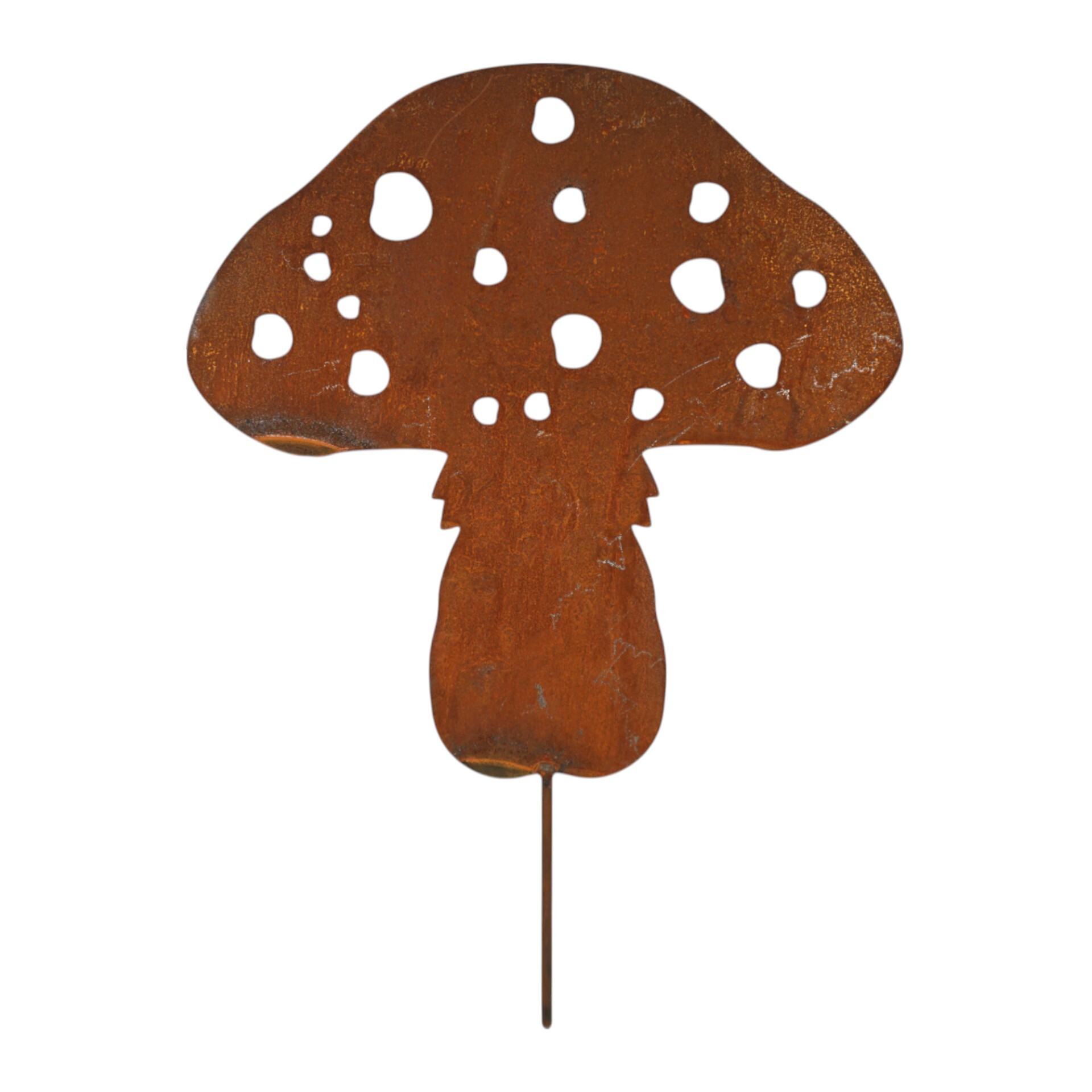 Darstellung von Pilz gross zum Stecken