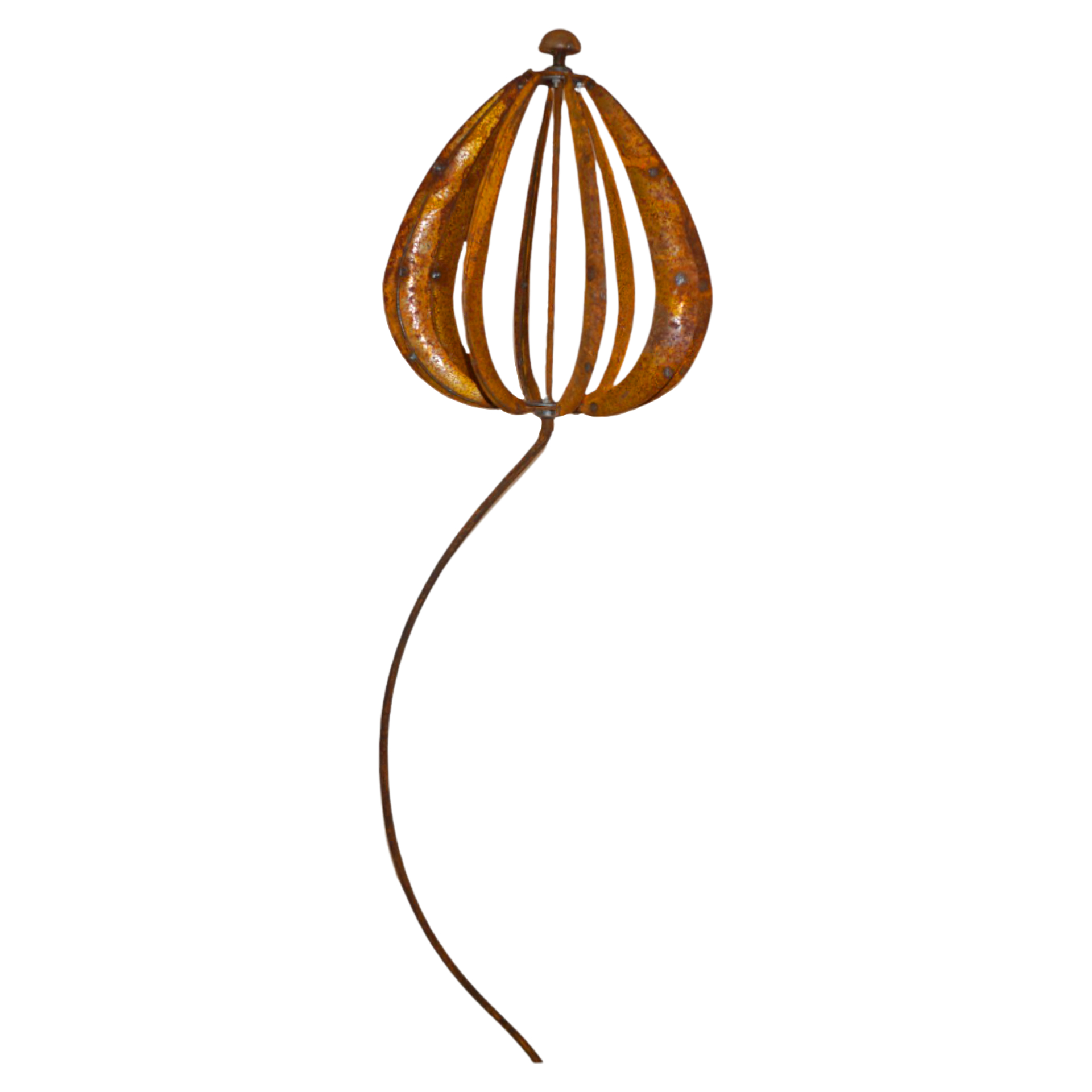 Darstellung von Tulpenpropeller h= 160 cm
