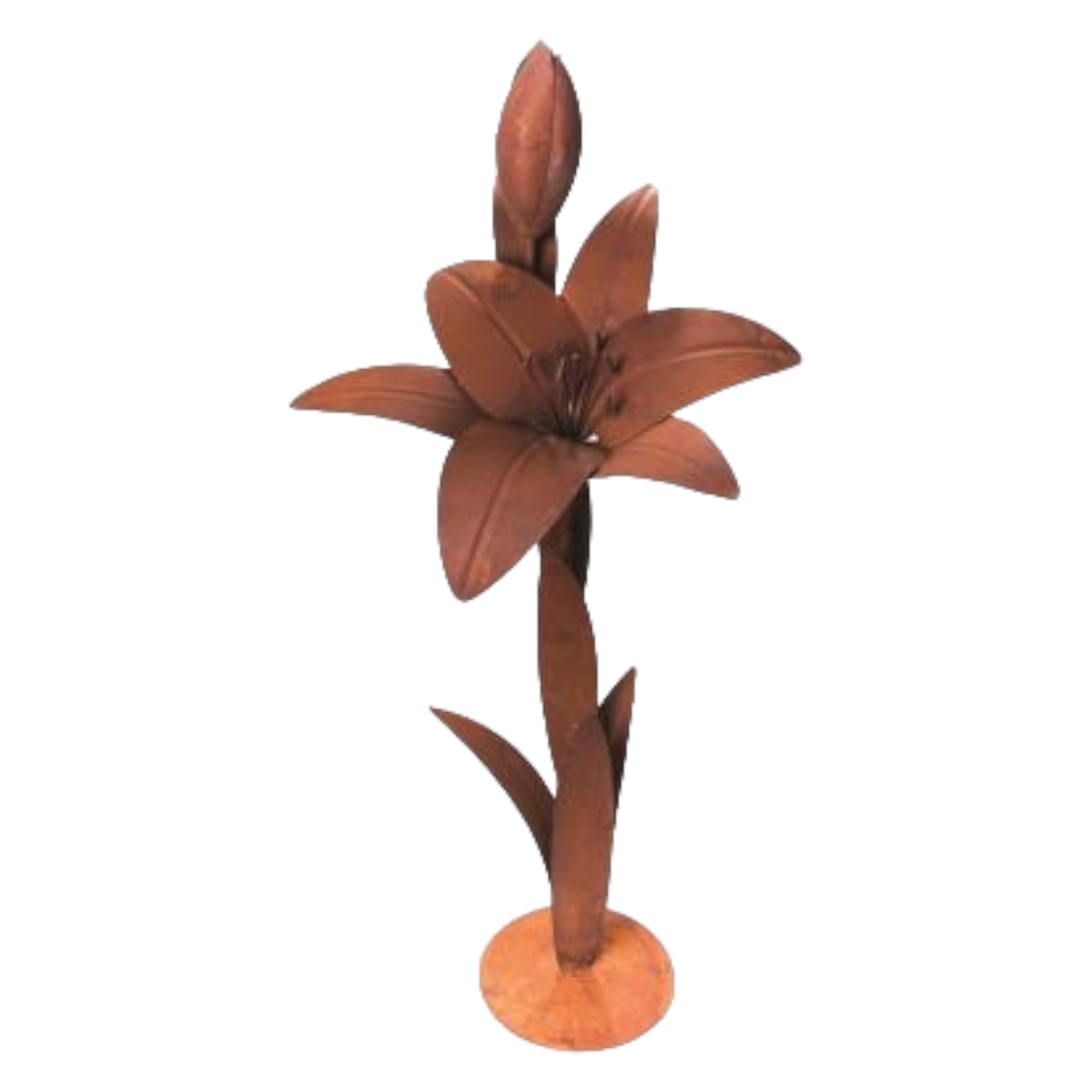 offene Blume mit Knospe geschlossen Darstellung von offene Blume mit Knospe geschlossen