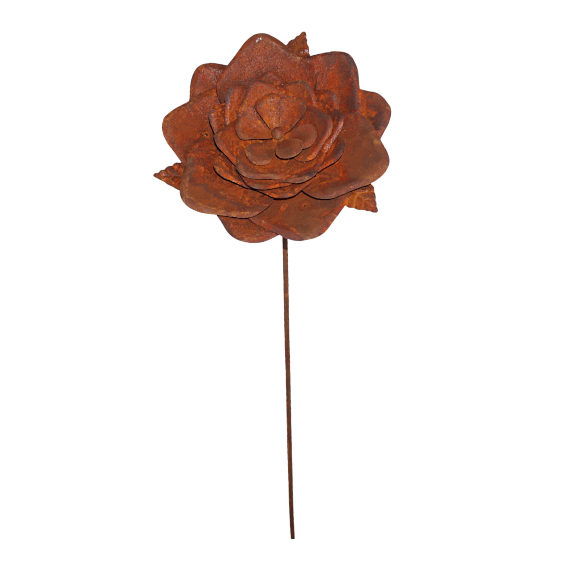 Darstellung von Rose a. Stab rost d= 30 cm