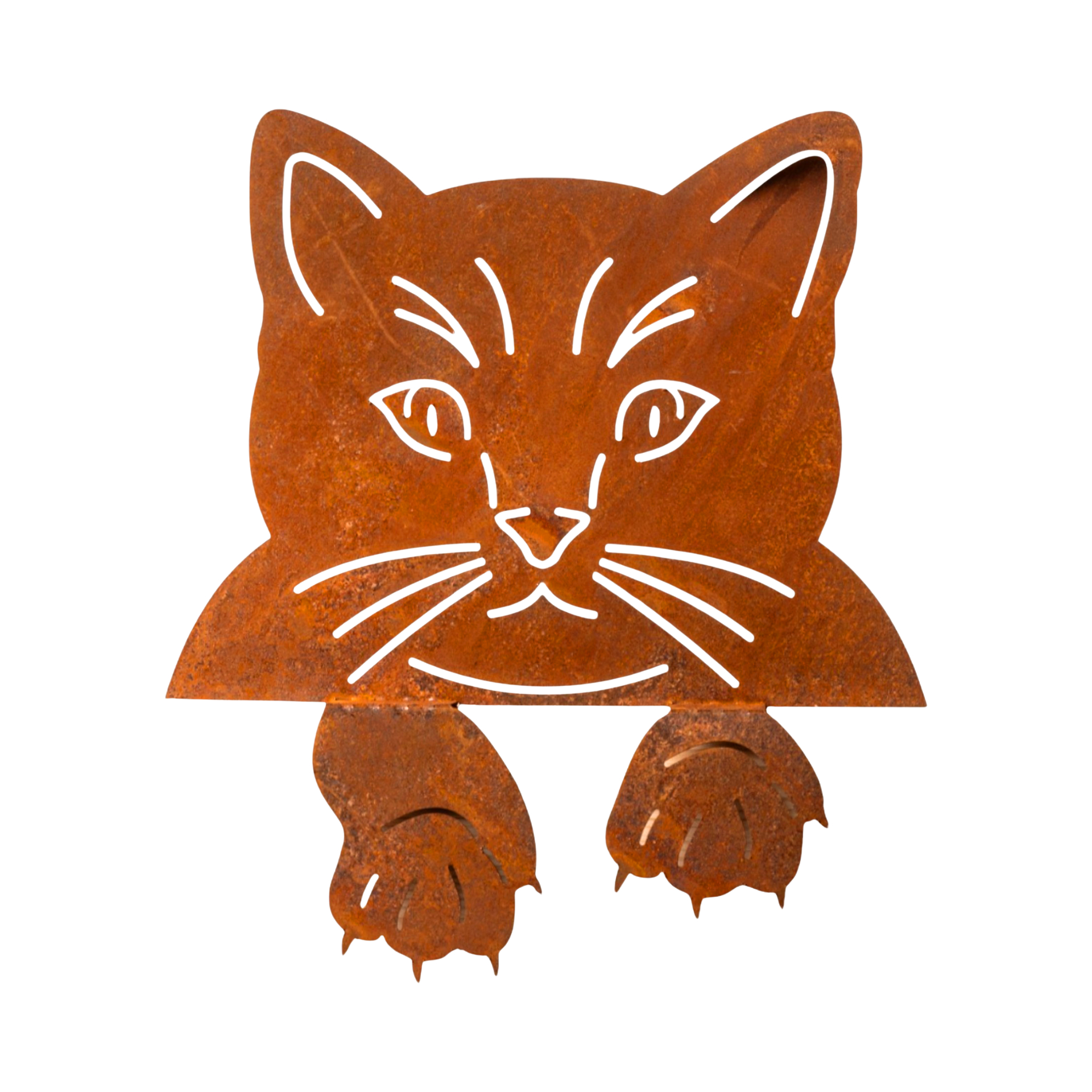 Darstellung von Kantenhocker Katzenkopf