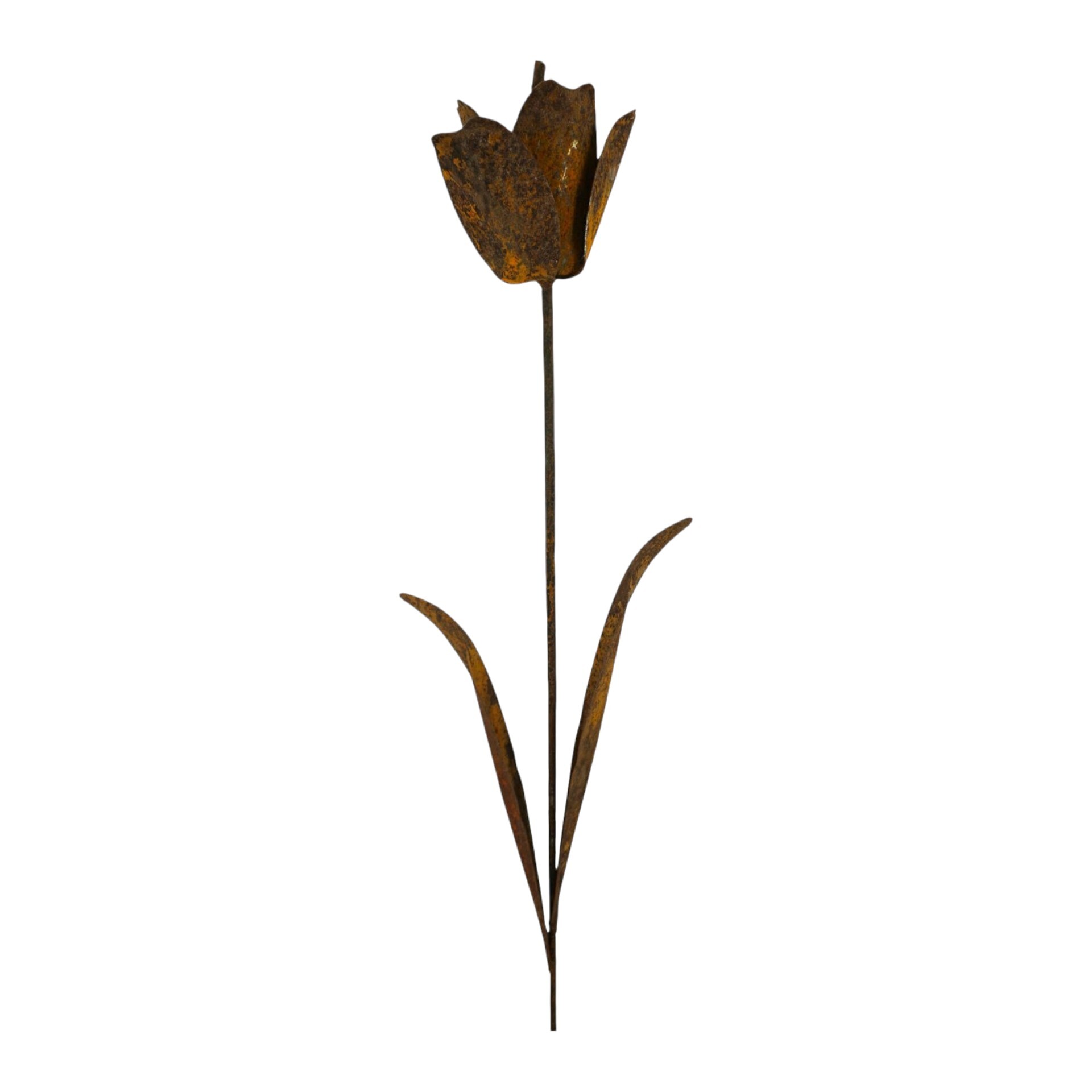 Darstellung von Tulpe z. Stecken rost, h= 144 cm, b= 17 cm
