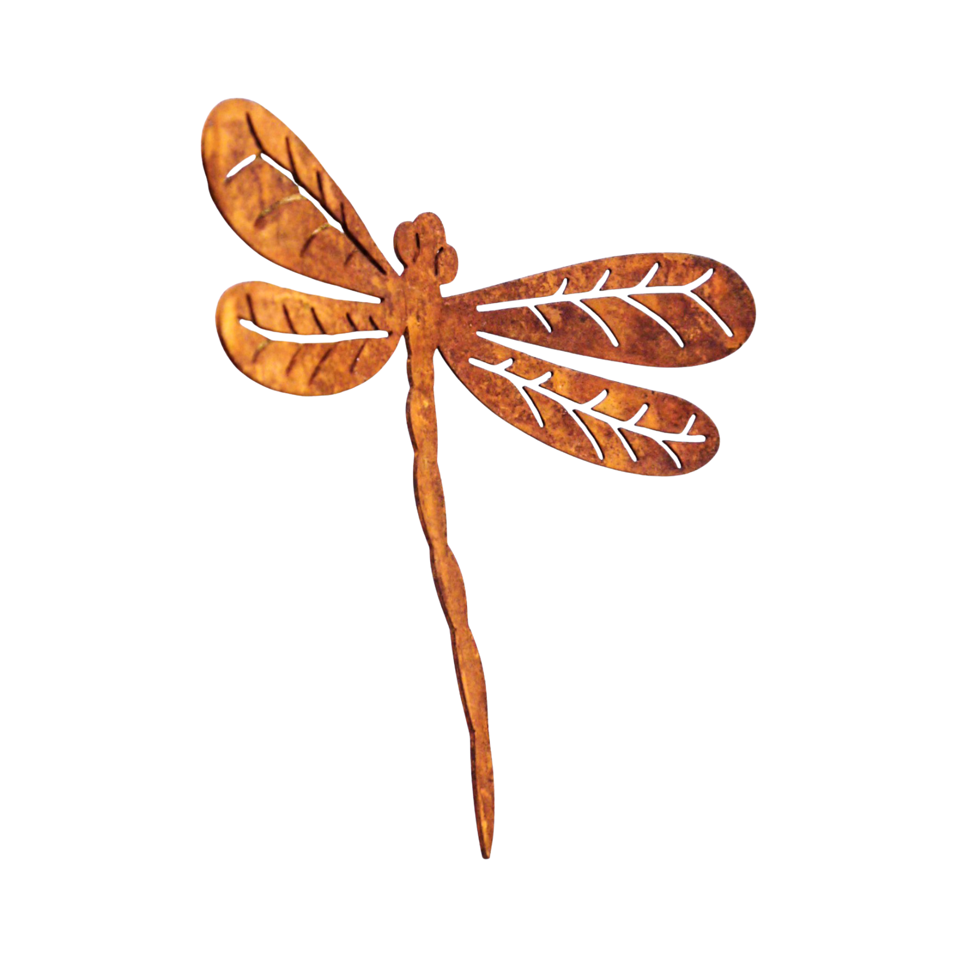 Darstellung von Libelle m. Dorn rost