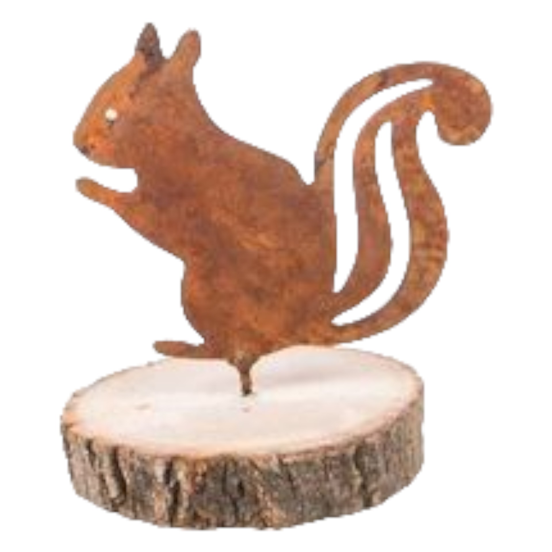 Darstellung von Eichhörnchen  mit Dorn, 10,5x9  cm