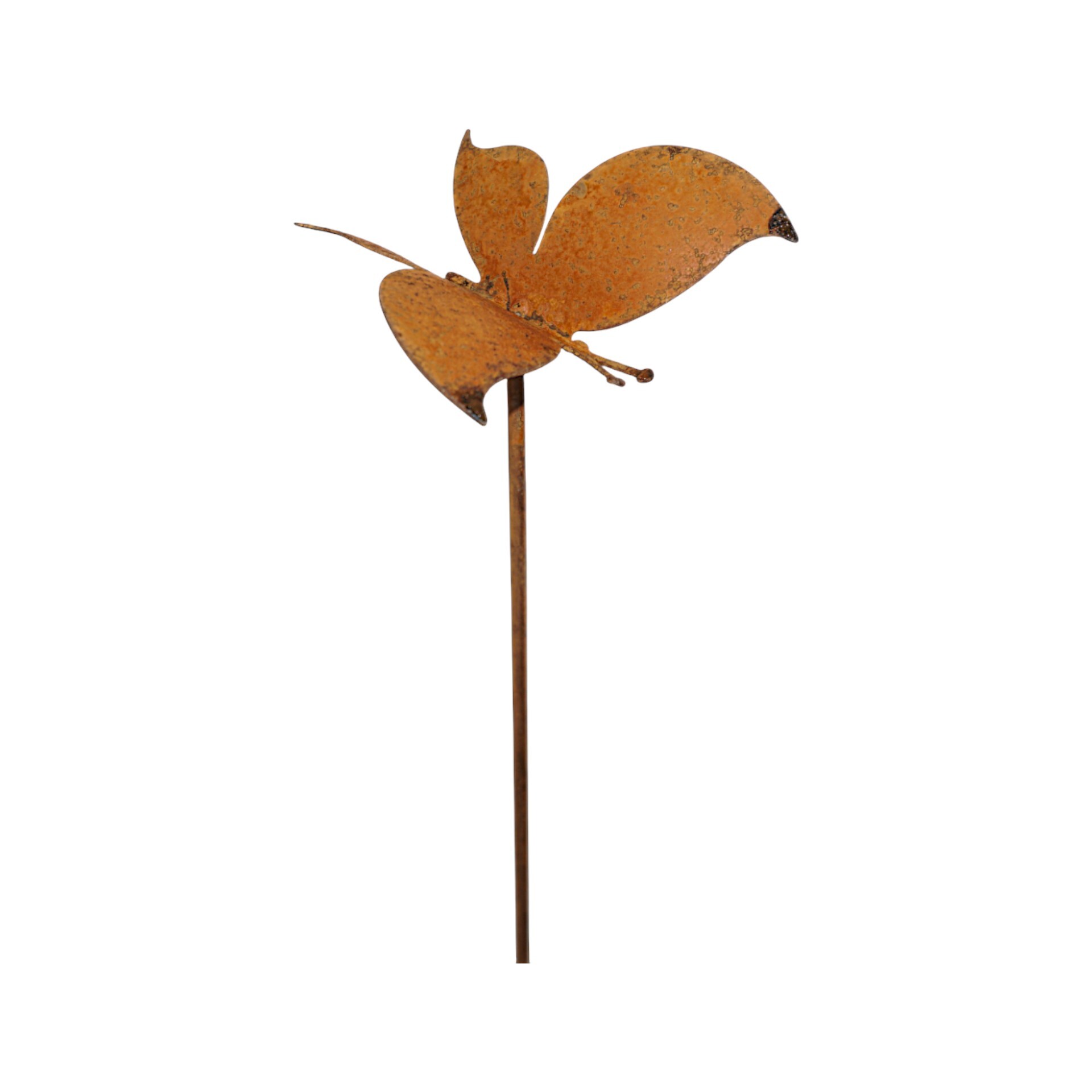 Darstellung von Schmetterling a. Stab klein
