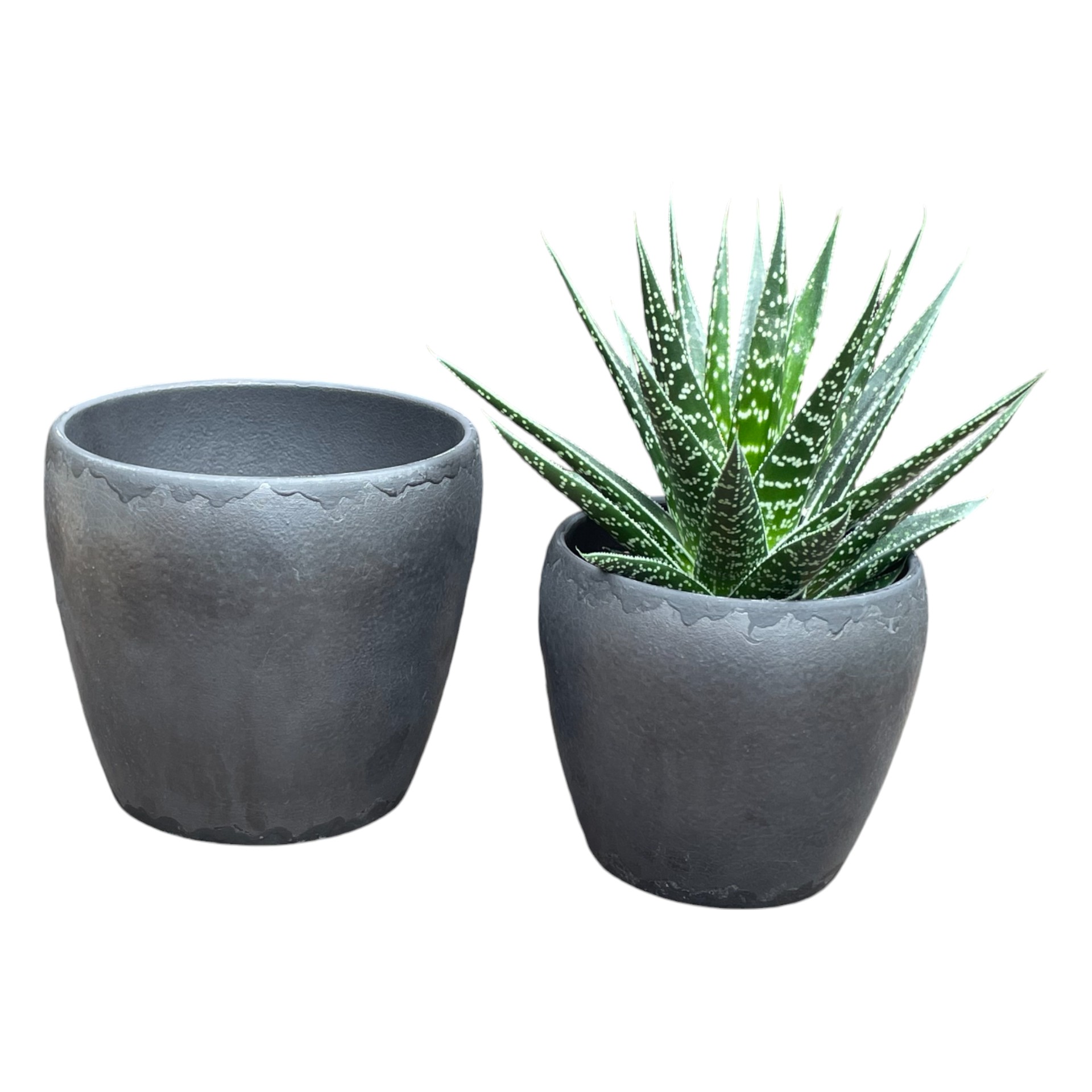 Darstellung von RP TONDA mittel ANTHRAZIT MATT