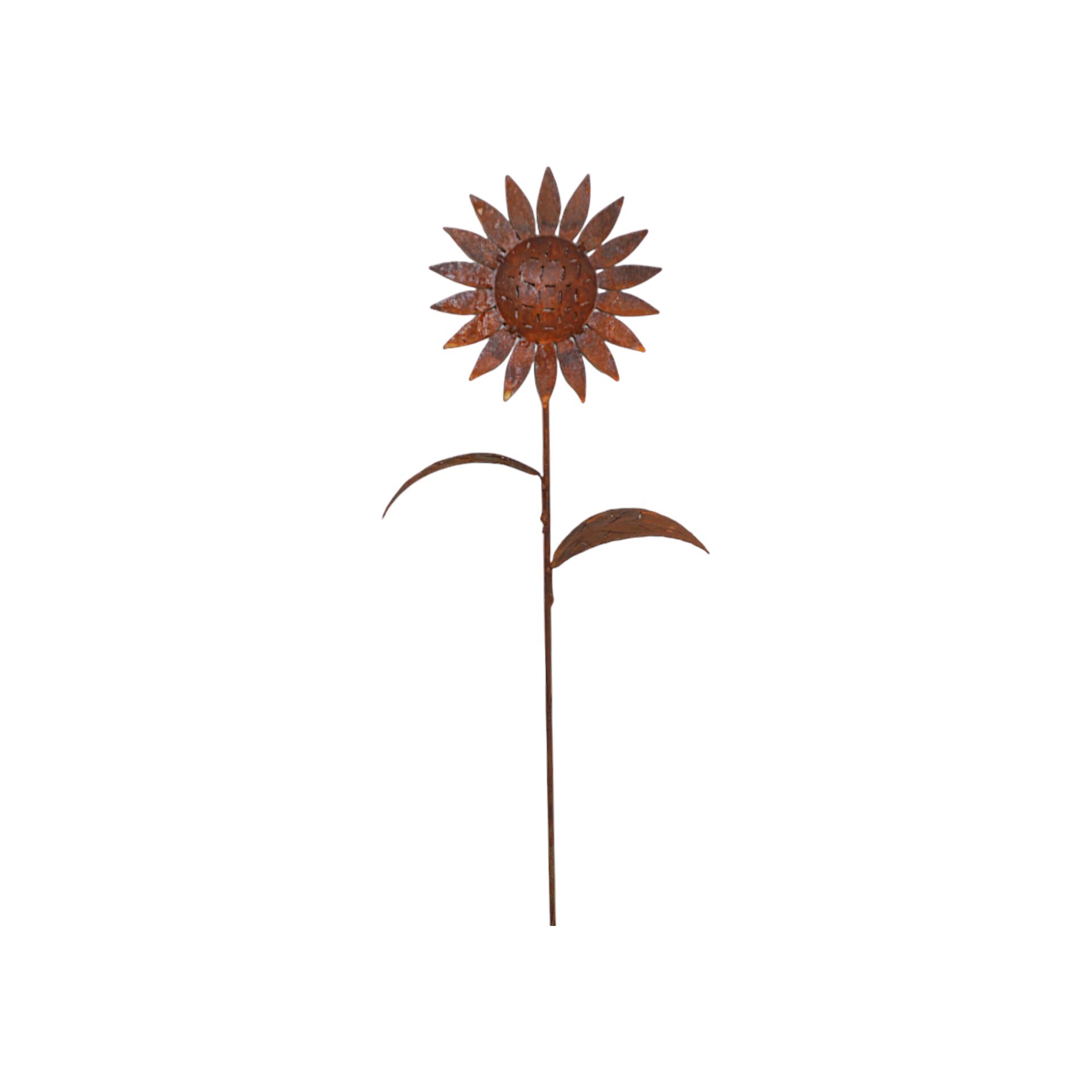 Darstellung von Sonnenblume klein zum Stecken