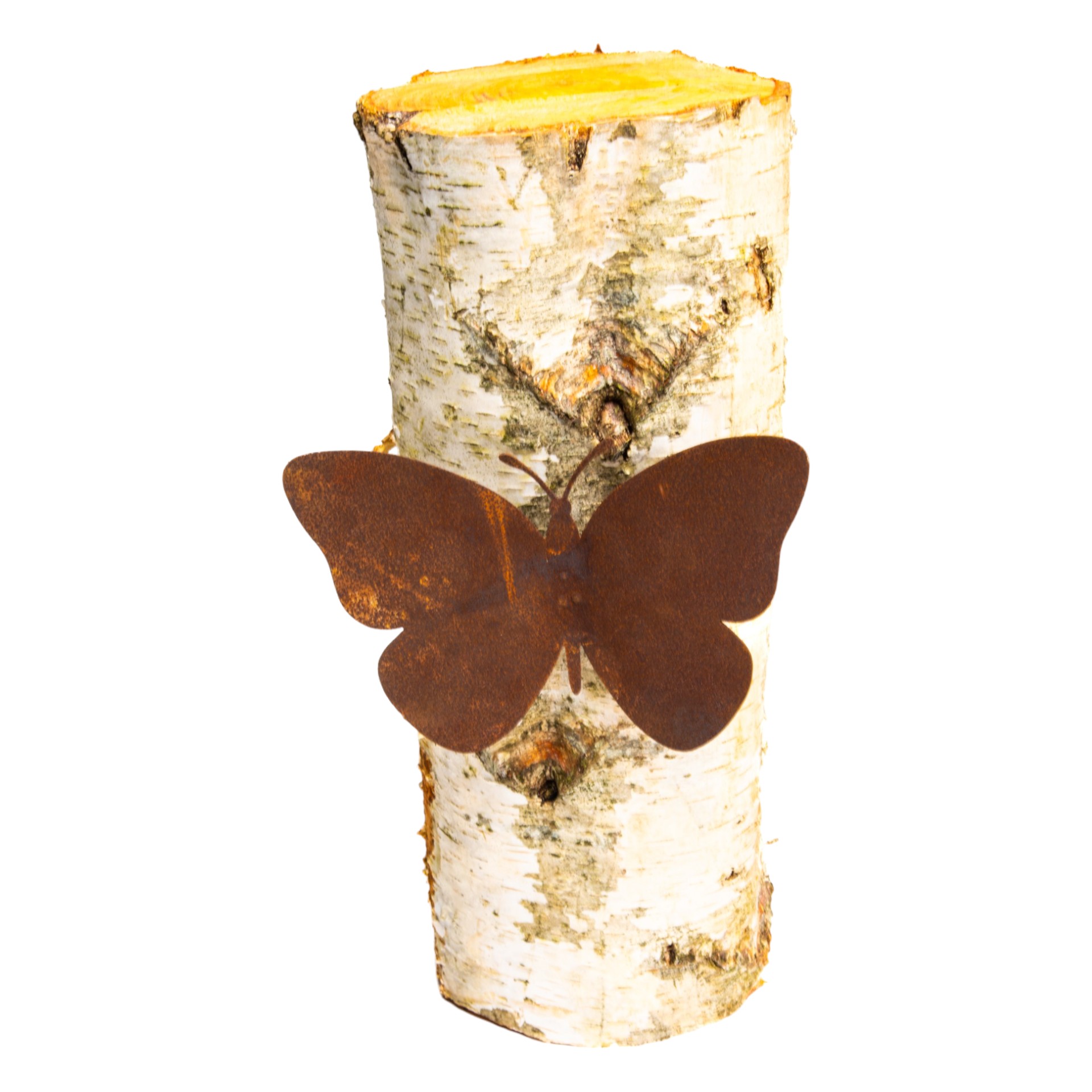 RP Schmetterling voll mit Schraube Darstellung von RP Schmetterling voll mit Schraube