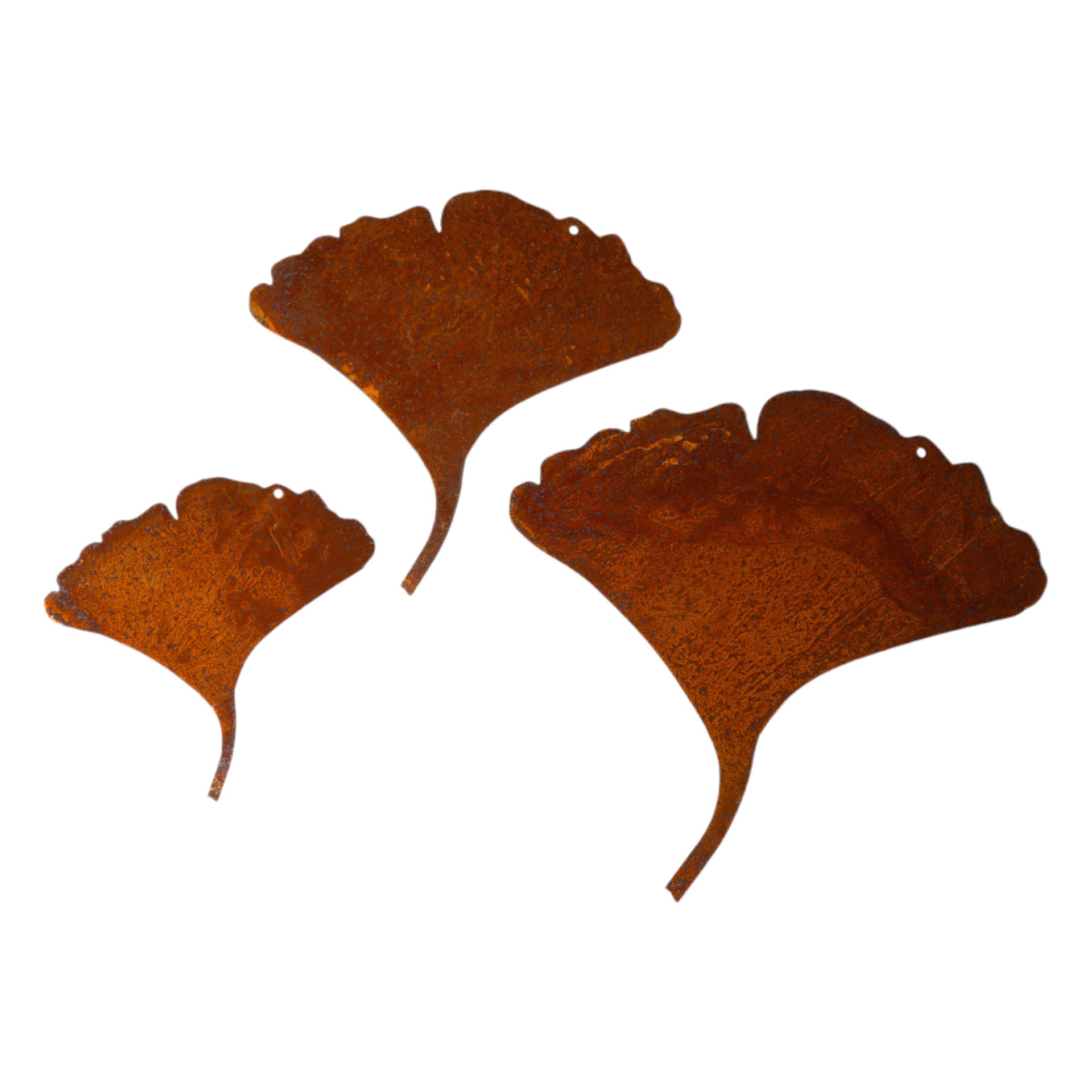 Darstellung von Gingkoblatt gross zum Hängen
