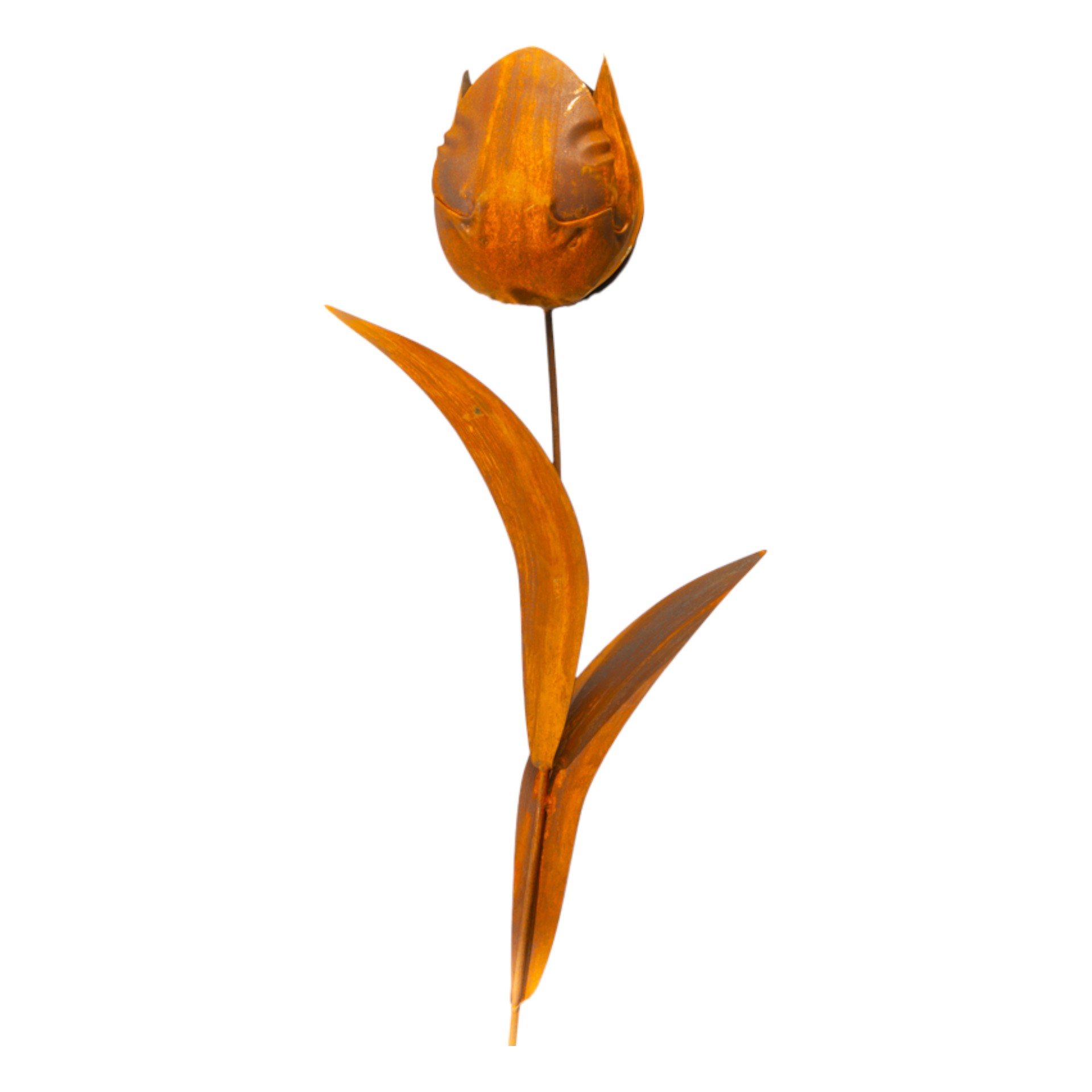 volle Tulpe zum Stecken mit 2 Blätter Darstellung von volle Tulpe zum Stecken mit 2 Blätter