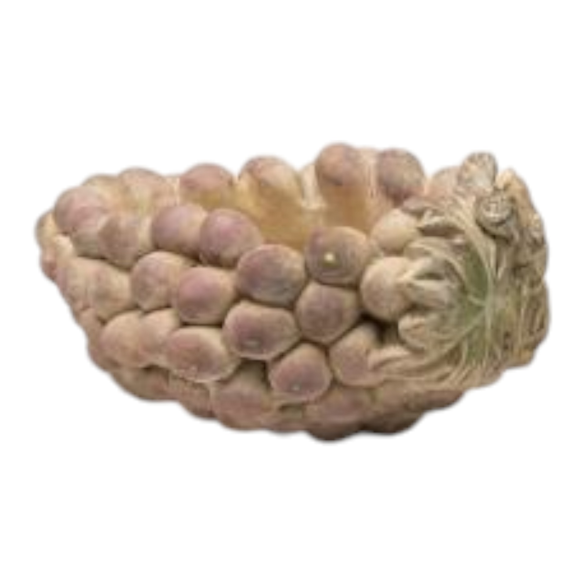 Traubentopf gross Darstellung von Traubentopf gross