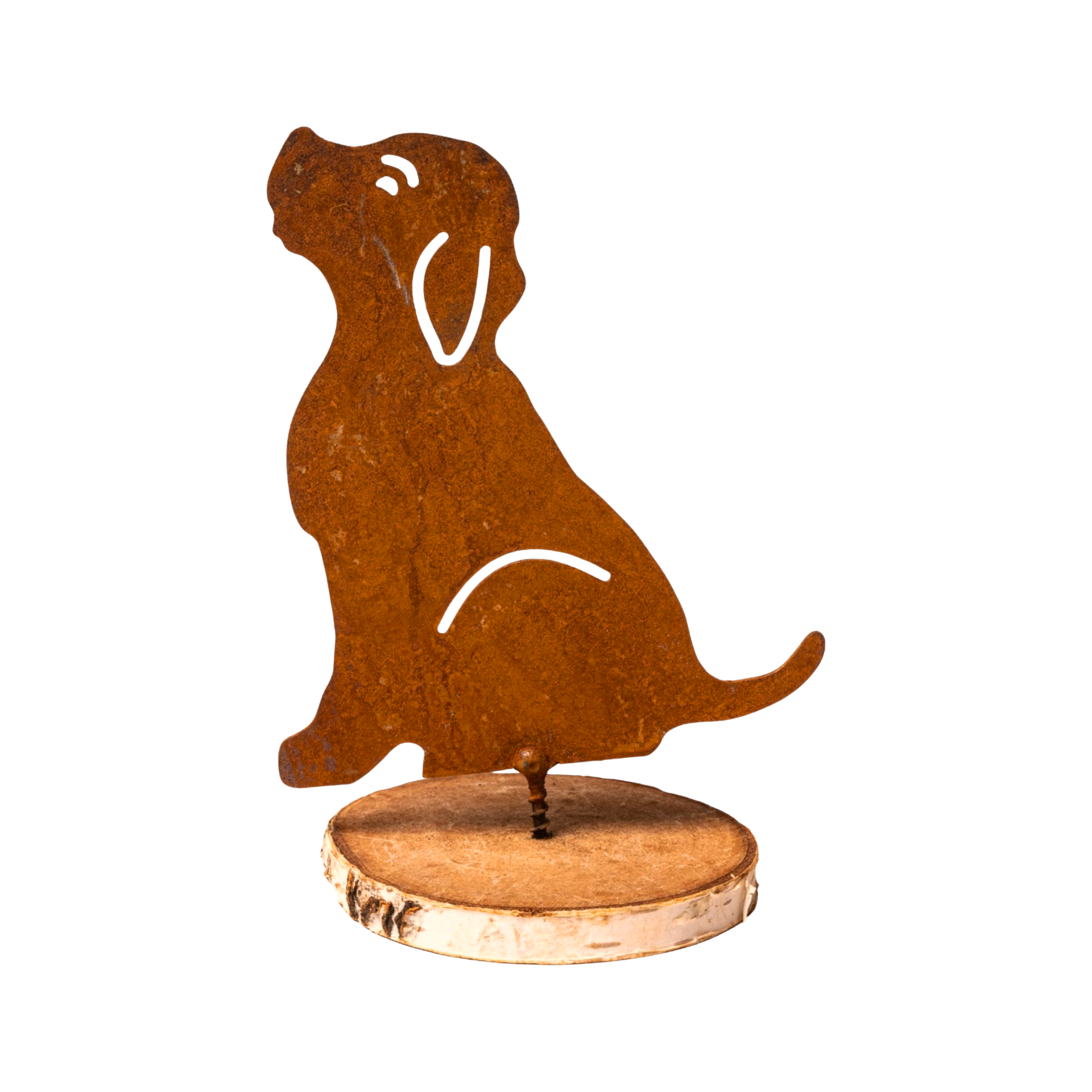 Darstellung von Hund mit Dorn sitzend