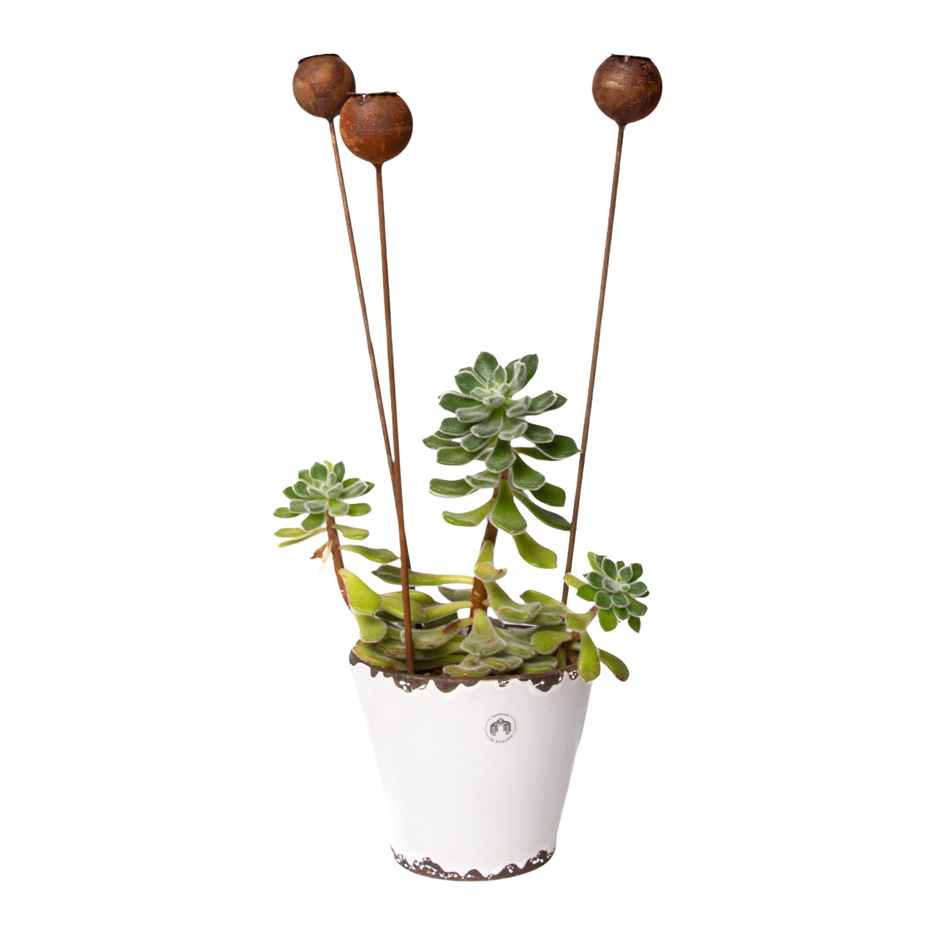 Darstellung von Mohnkapsel mini auf Stab