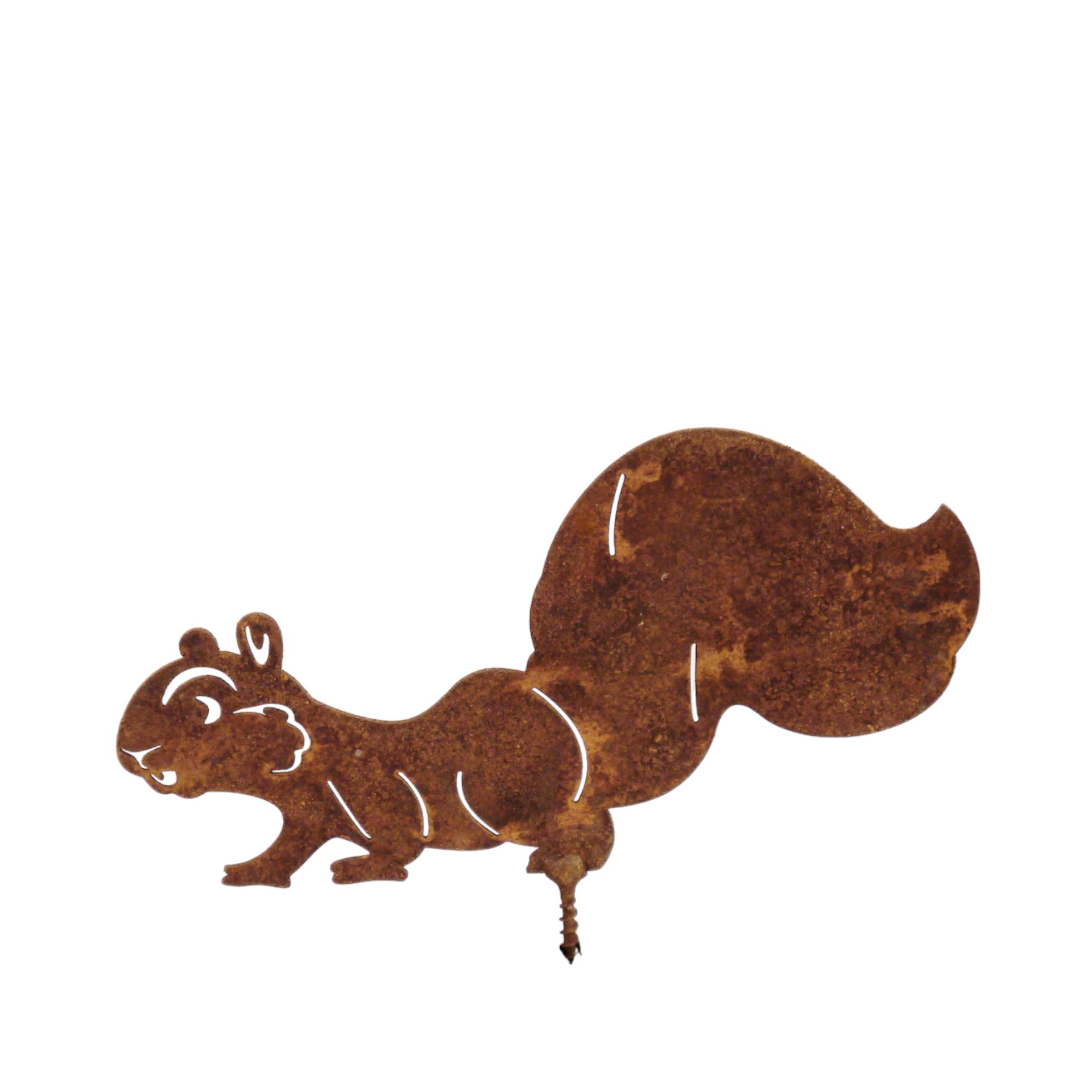 Eichhörnchen GR laufend, mit Dorn Darstellung von Eichhörnchen GR laufend, mit Dorn