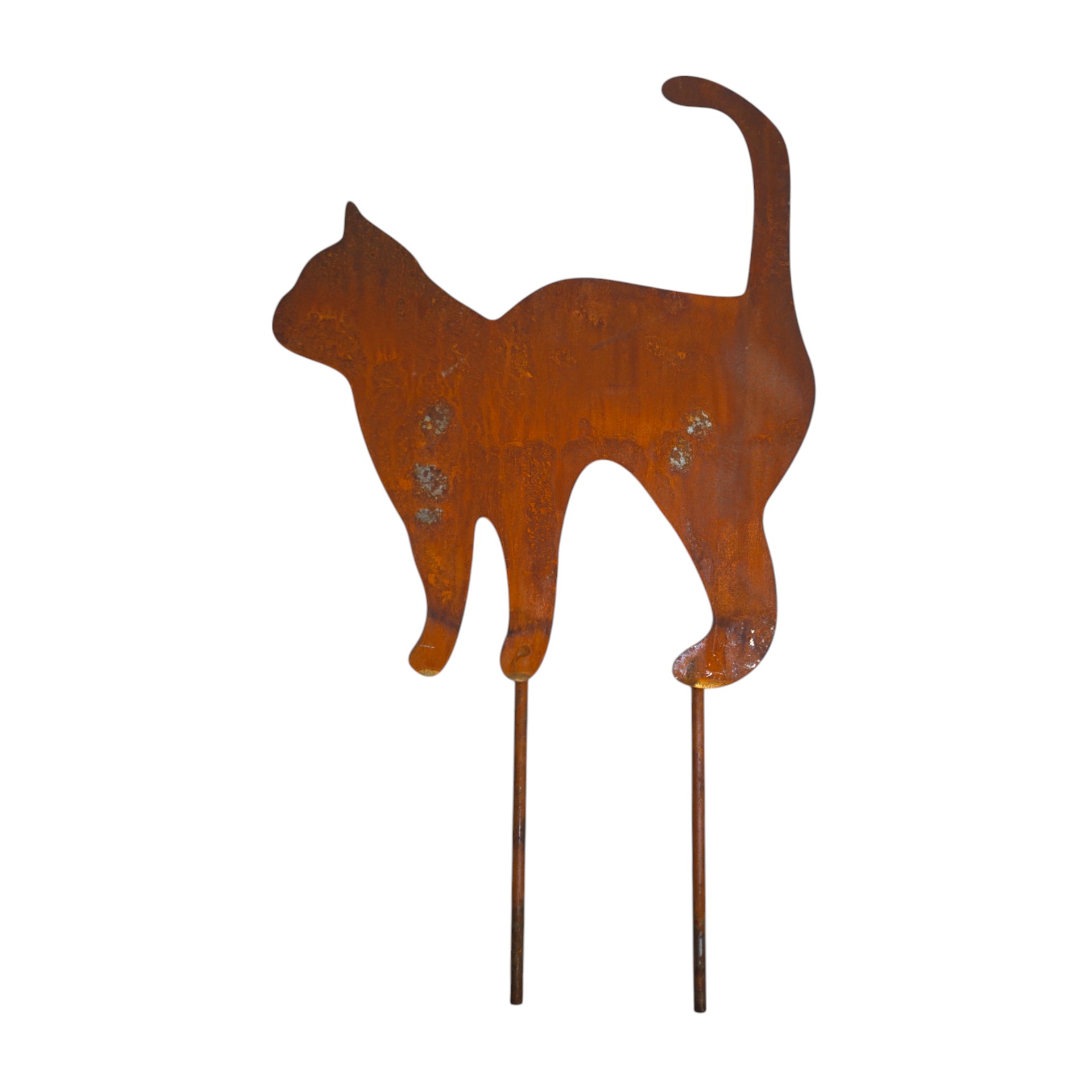 Darstellung von Katze mit Buckel mittel