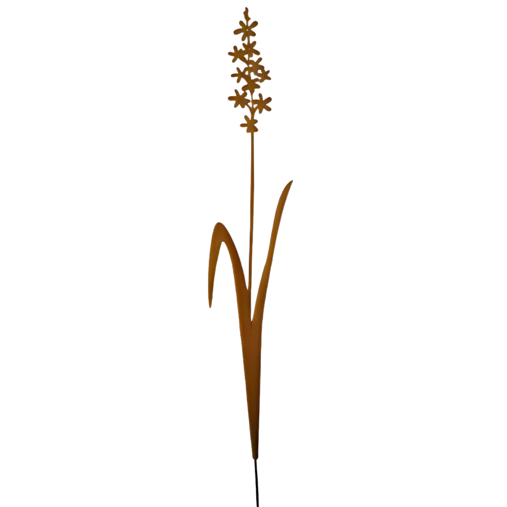 Darstellung von Lavendelblume z. Stecken