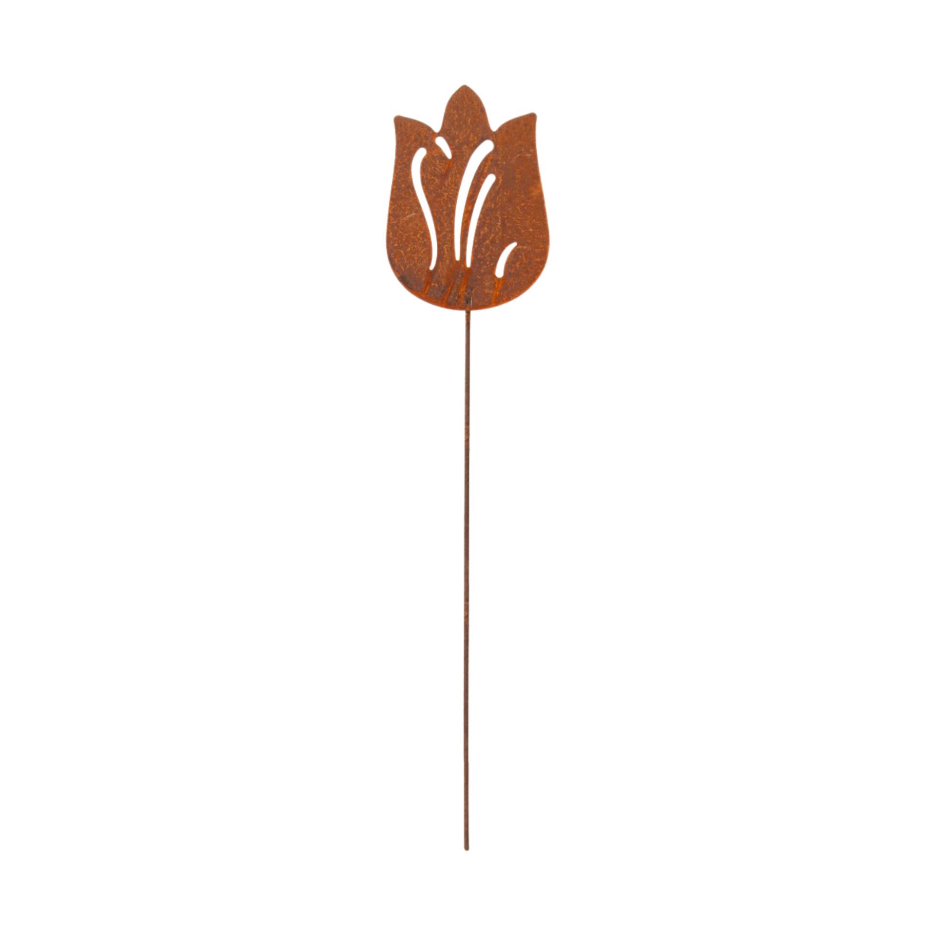 Darstellung von Tulpe auf Stab