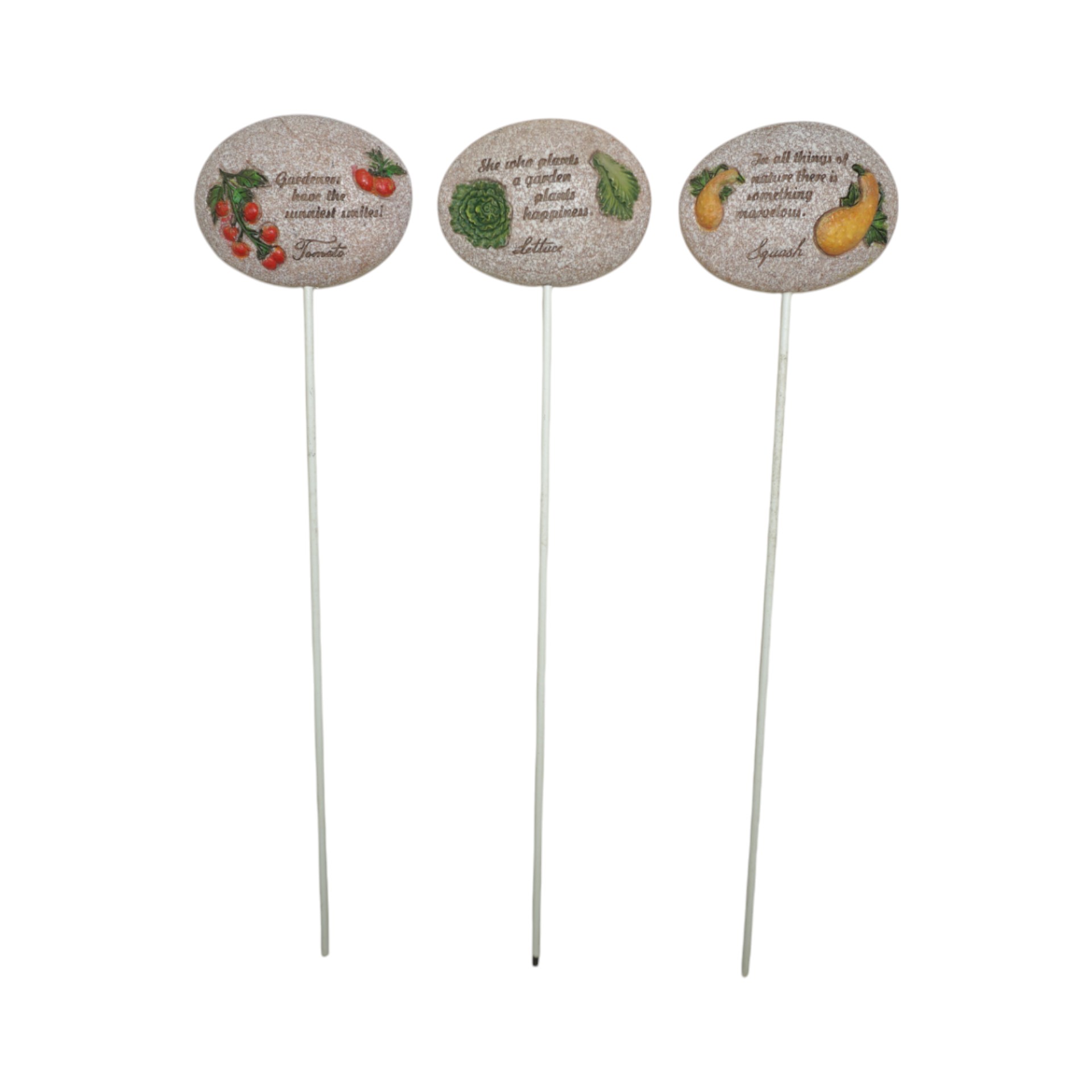 Darstellung von RP Ministecker Poly Gemüse sort