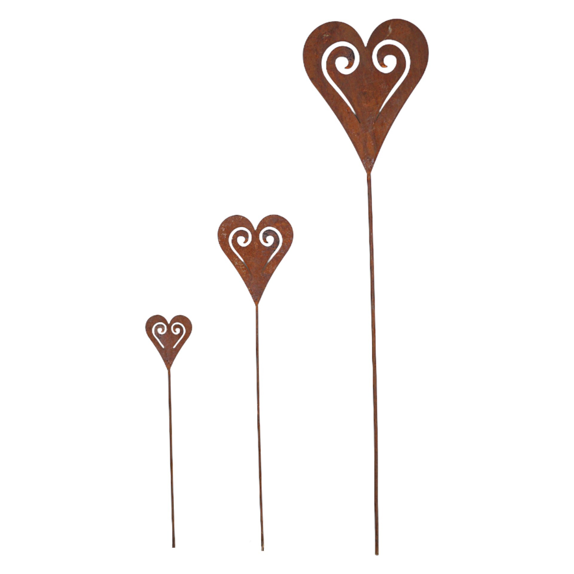 Darstellung von Herzstecker Spirale mittel