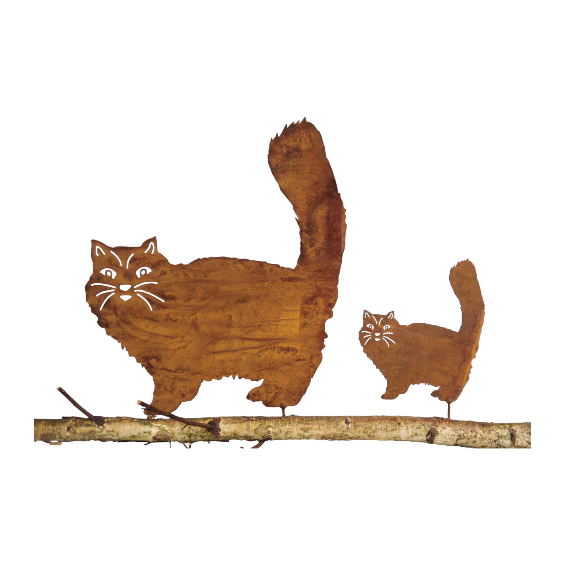 Perserkatze klein ROST Darstellung von Perserkatze klein ROST