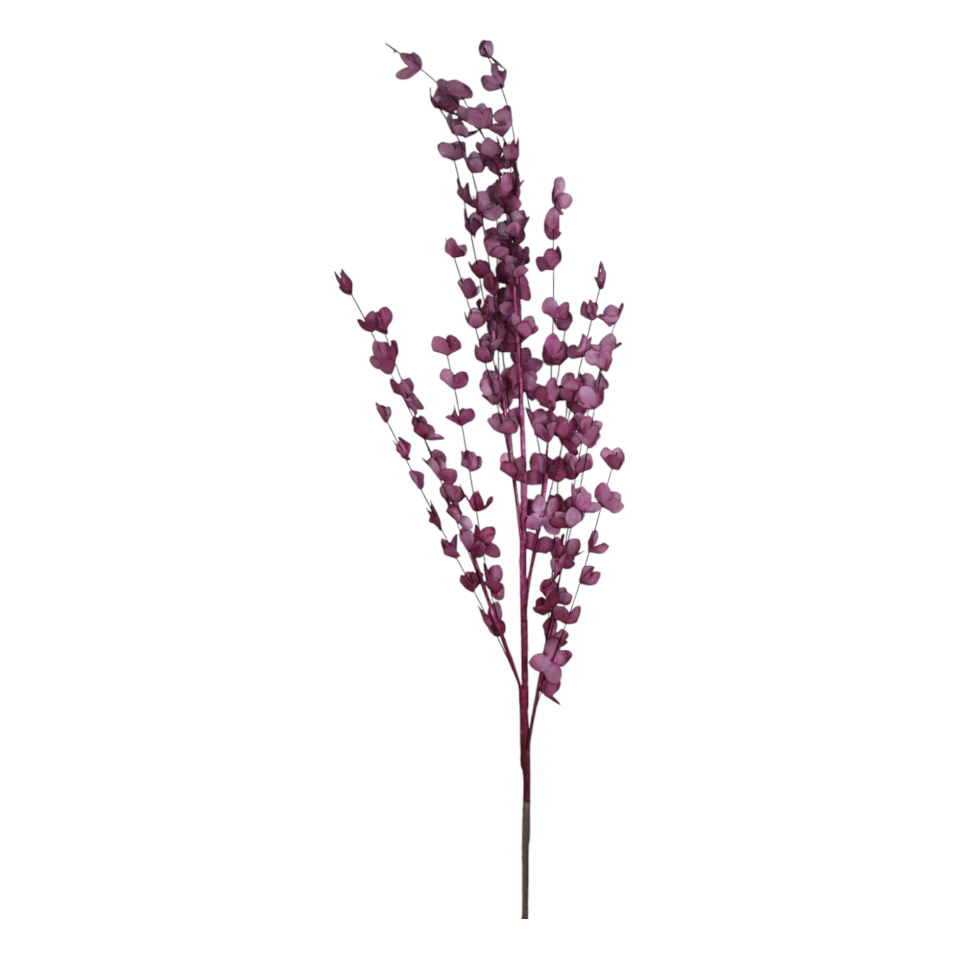 Darstellung von Schmetterlingsblume lila 120 cm