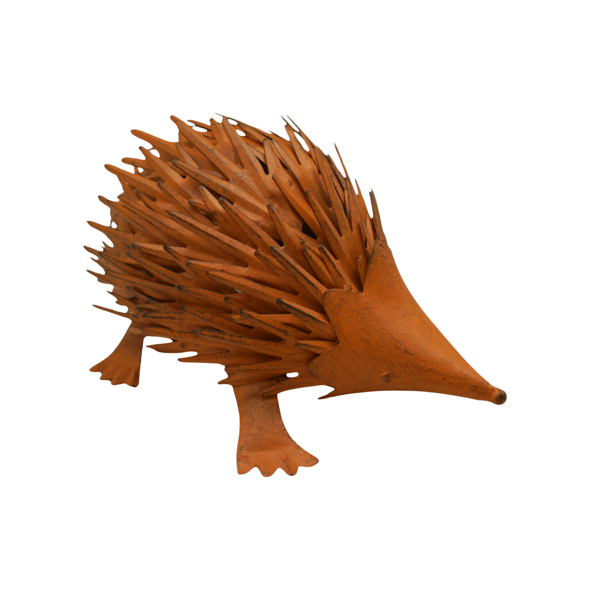 Darstellung von Igel spitz rost