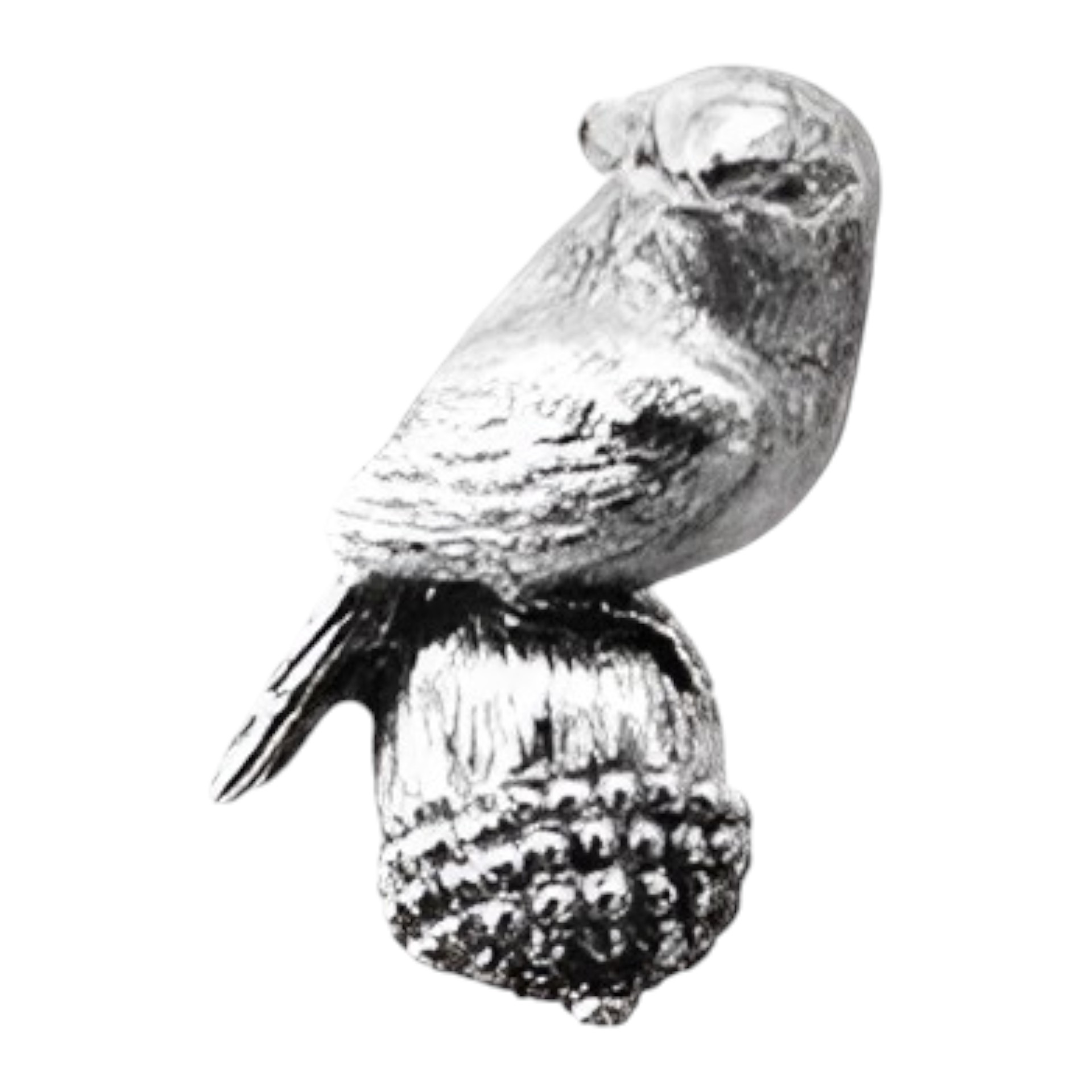 RP Vogel z. Hängen a. Nuss silber Darstellung von RP Vogel z. Hängen a. Nuss silber
