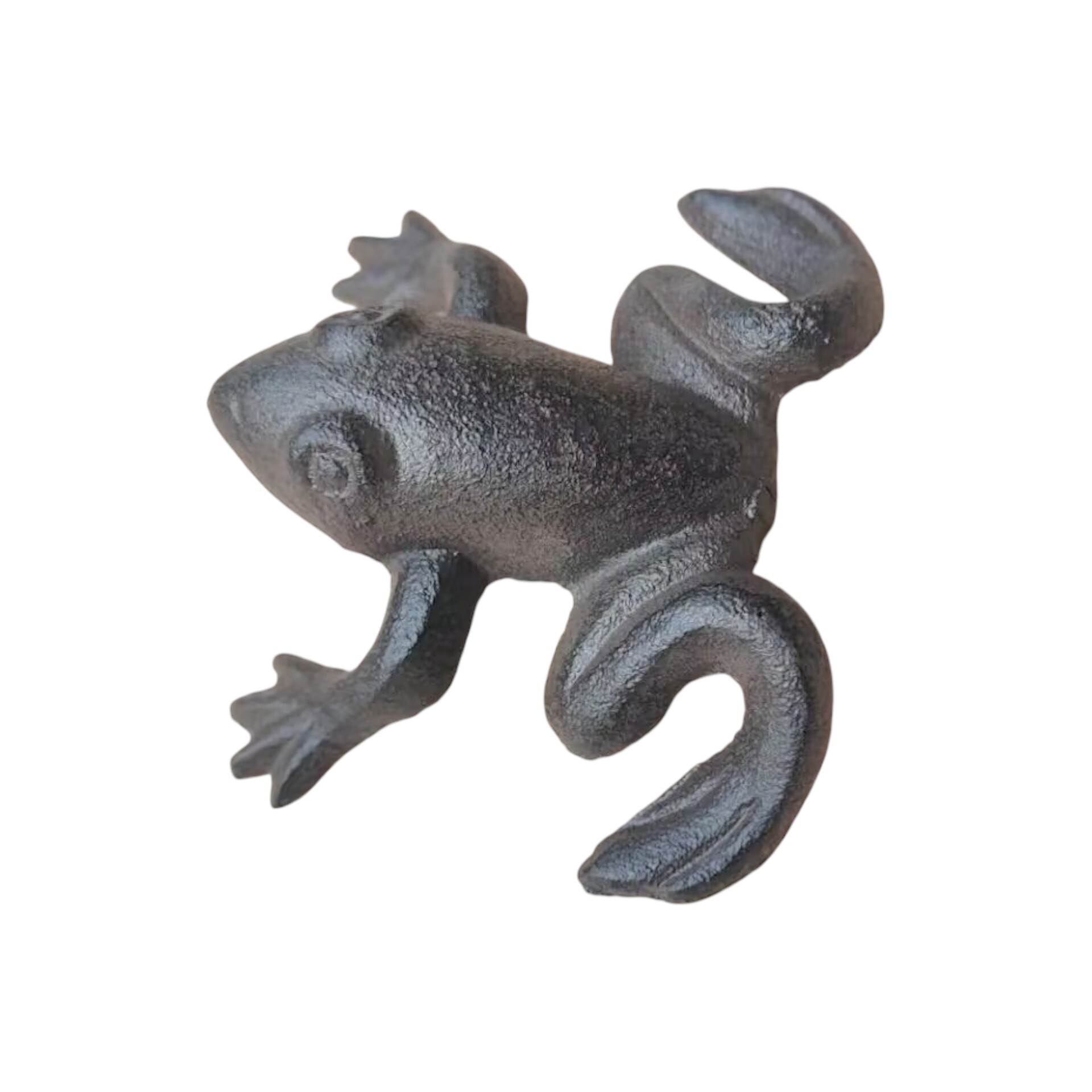 Darstellung von Frosch mini