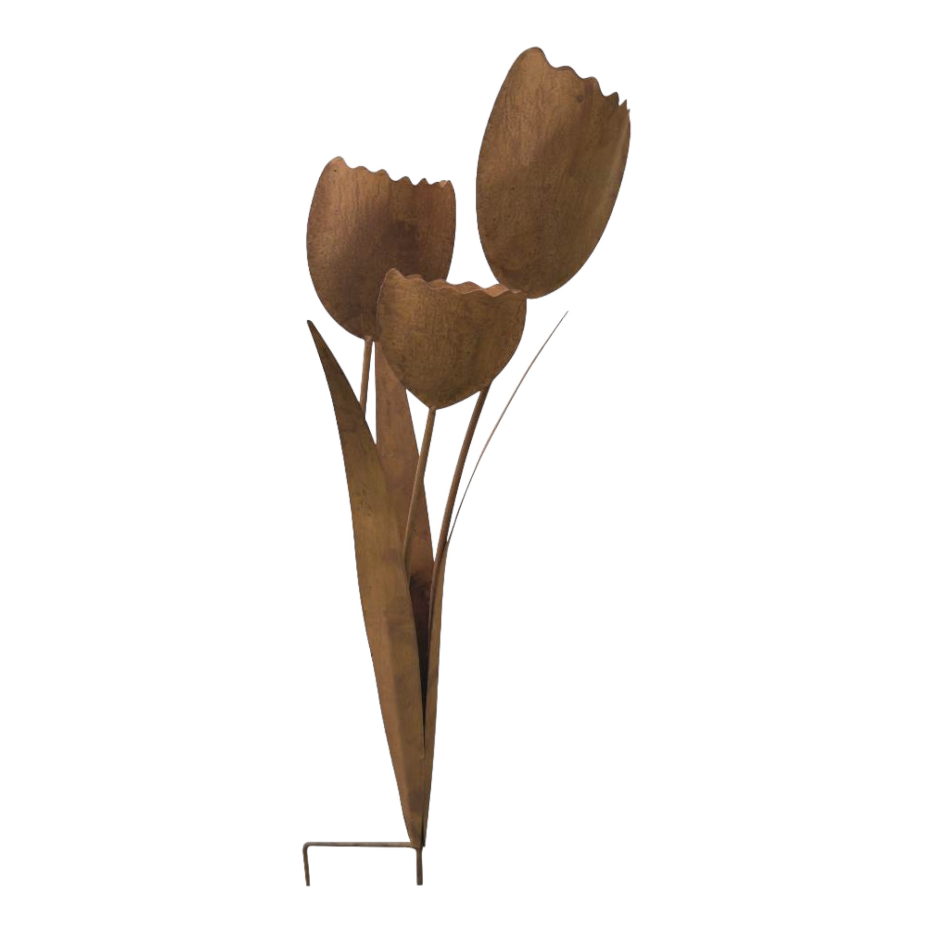 Stecker 3 Tulpen mit Blätter Darstellung von Stecker 3 Tulpen mit Blätter