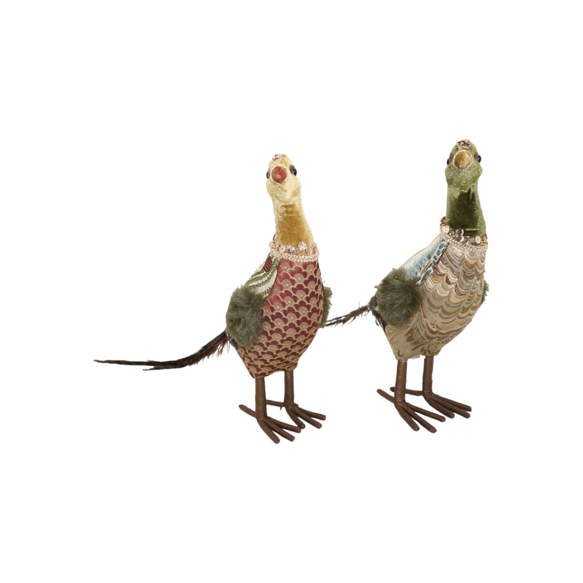 bekleideter Pfau sort. Darstellung von bekleideter Pfau sort.