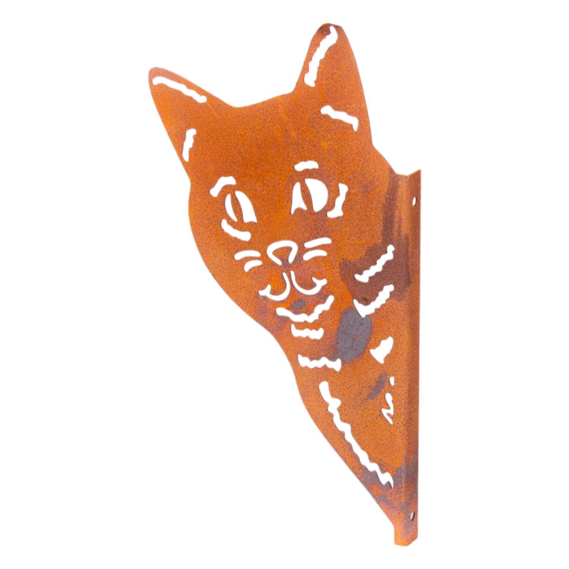 Darstellung von Katzenkopf Puschel gross