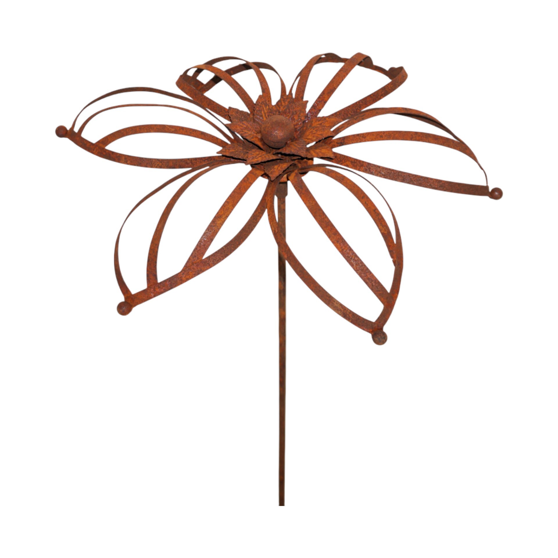 Darstellung von Blume a. Stab Iris