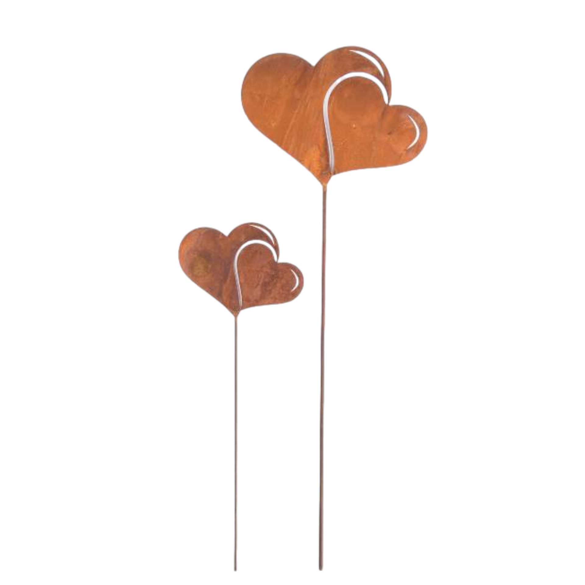 Doppelherz kl., 18,5x14,5/ 53 cm Darstellung von Doppelherz kl., 18,5x14,5/ 53 cm
