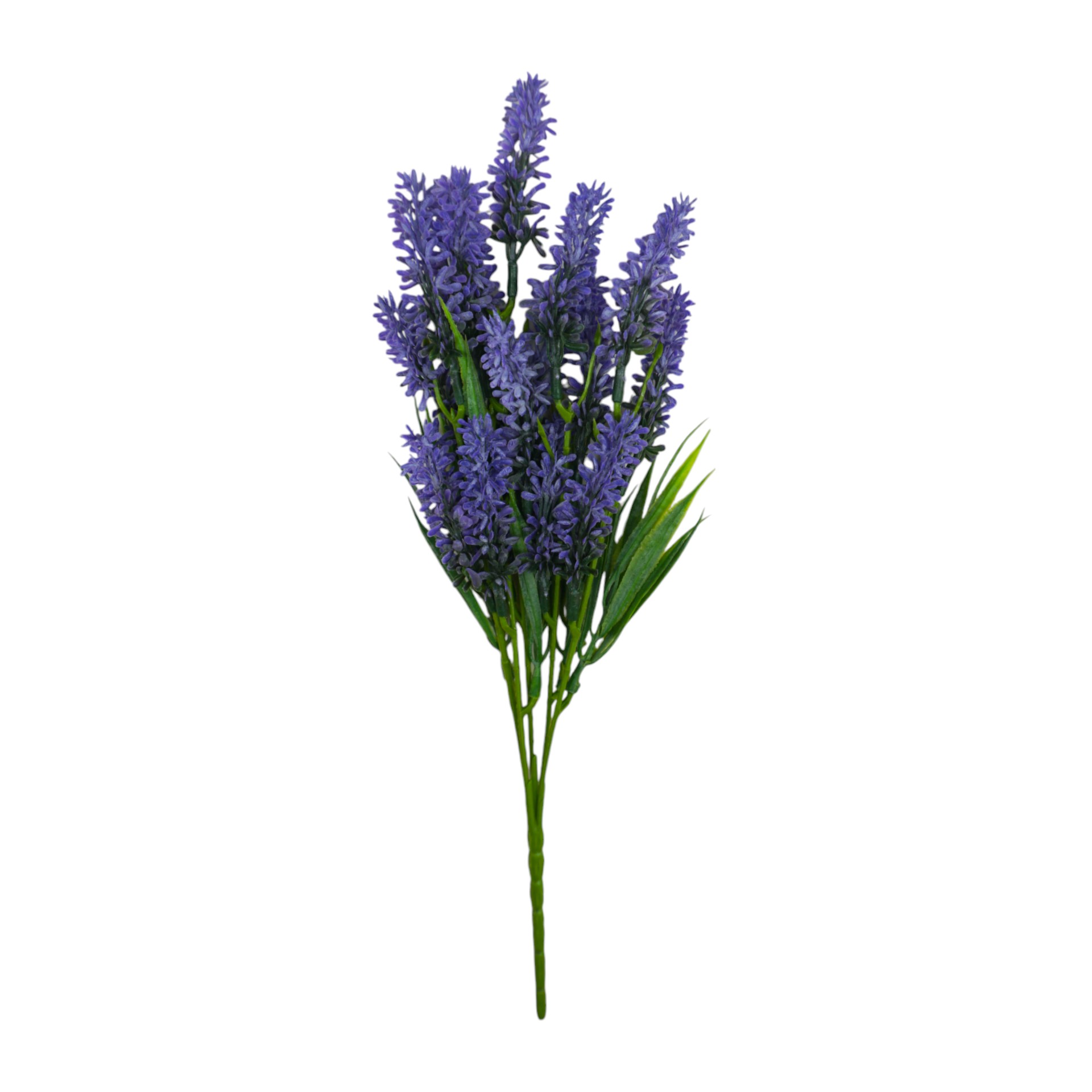 Darstellung von Lavendel lila h= 35 cm