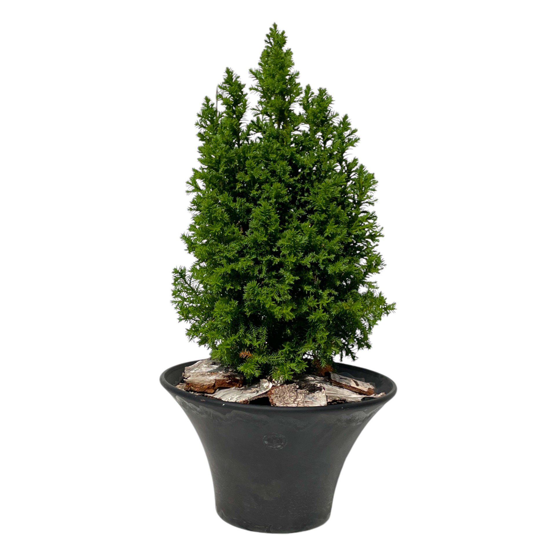 Darstellung von RP Schale ANTHRAZIT MATT 32 x16 cm